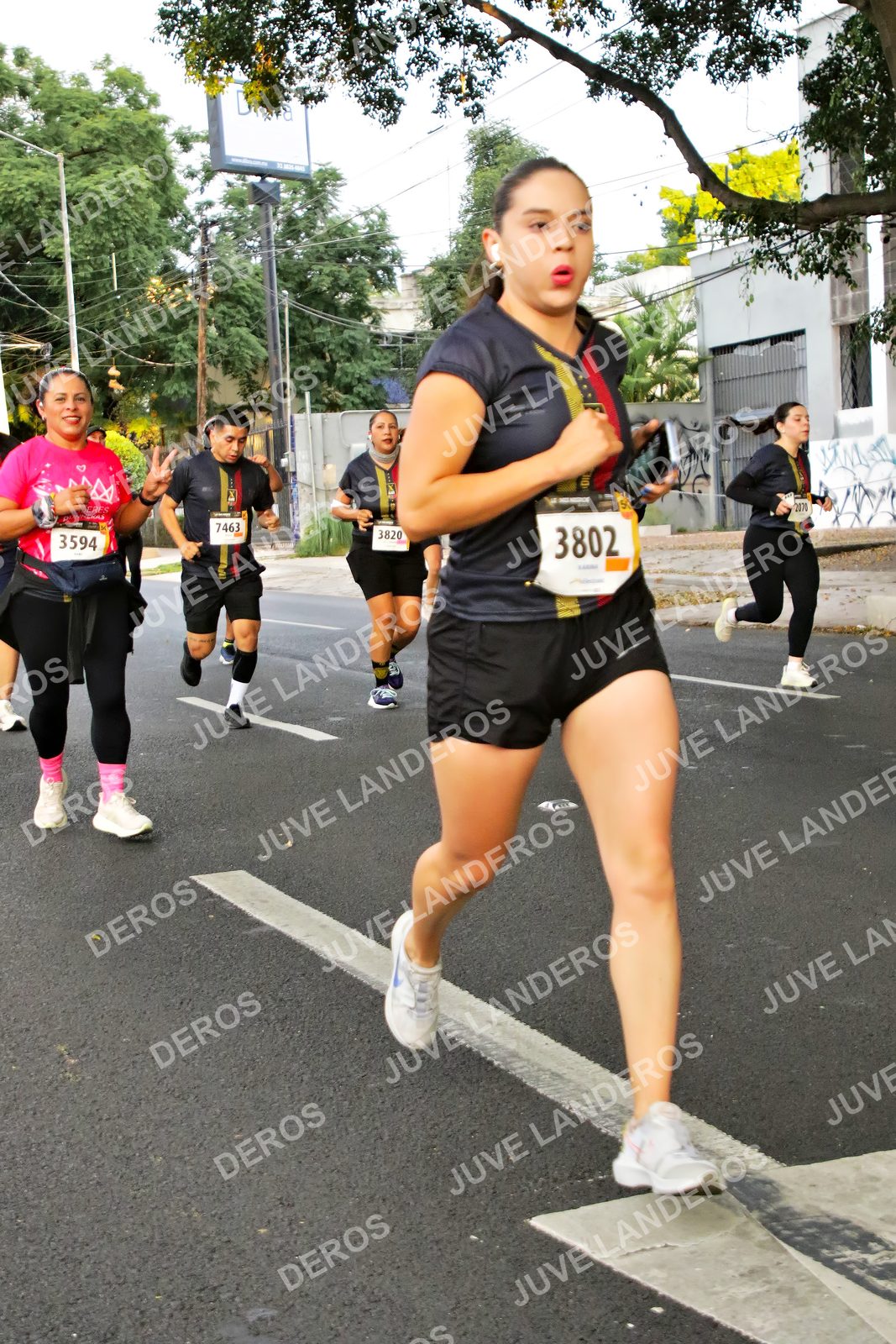 Foto de la X Carrera Leones Negros Red Cola 2026 en Rectoría General de la UdeG, Av. Juárez 976 (meta en Av. Enrique Díaz de León y Pedro Moreno), Guadalajara a las 05:03 · dorsal 3802, 7463, 3820, 3594