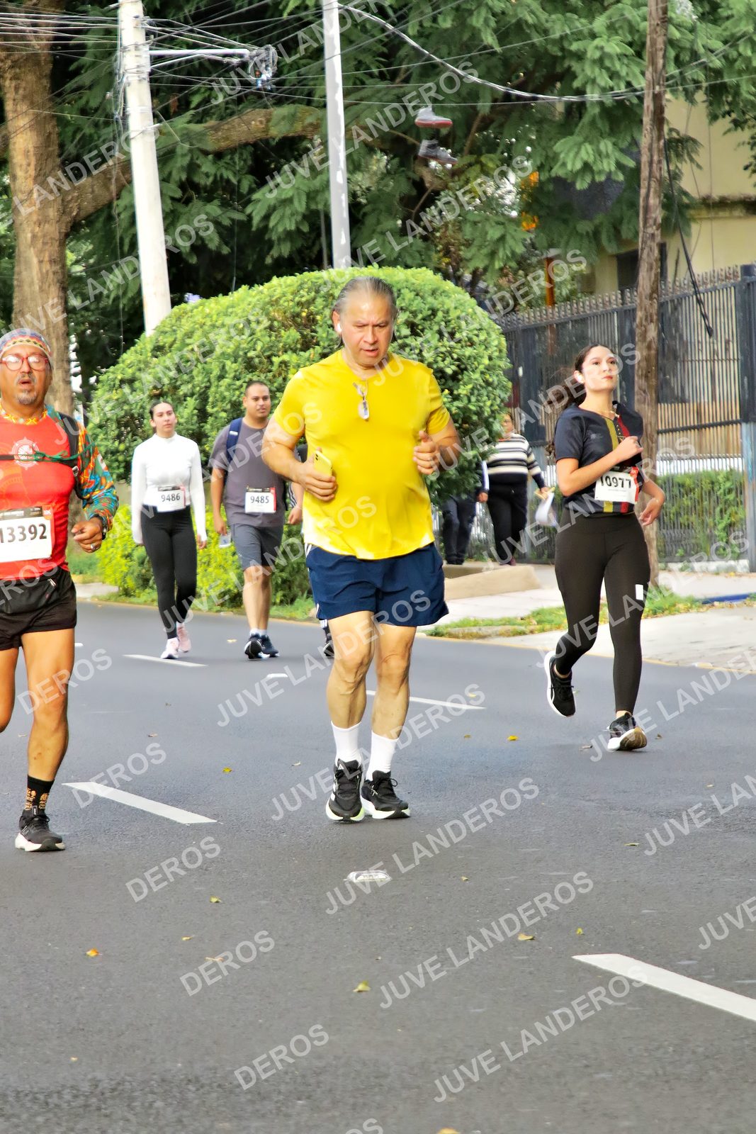 Foto de la X Carrera Leones Negros Red Cola 2026 en Rectoría General de la UdeG, Av. Juárez 976 (meta en Av. Enrique Díaz de León y Pedro Moreno), Guadalajara a las 08:14 · dorsal 9485, 9486, 13392
