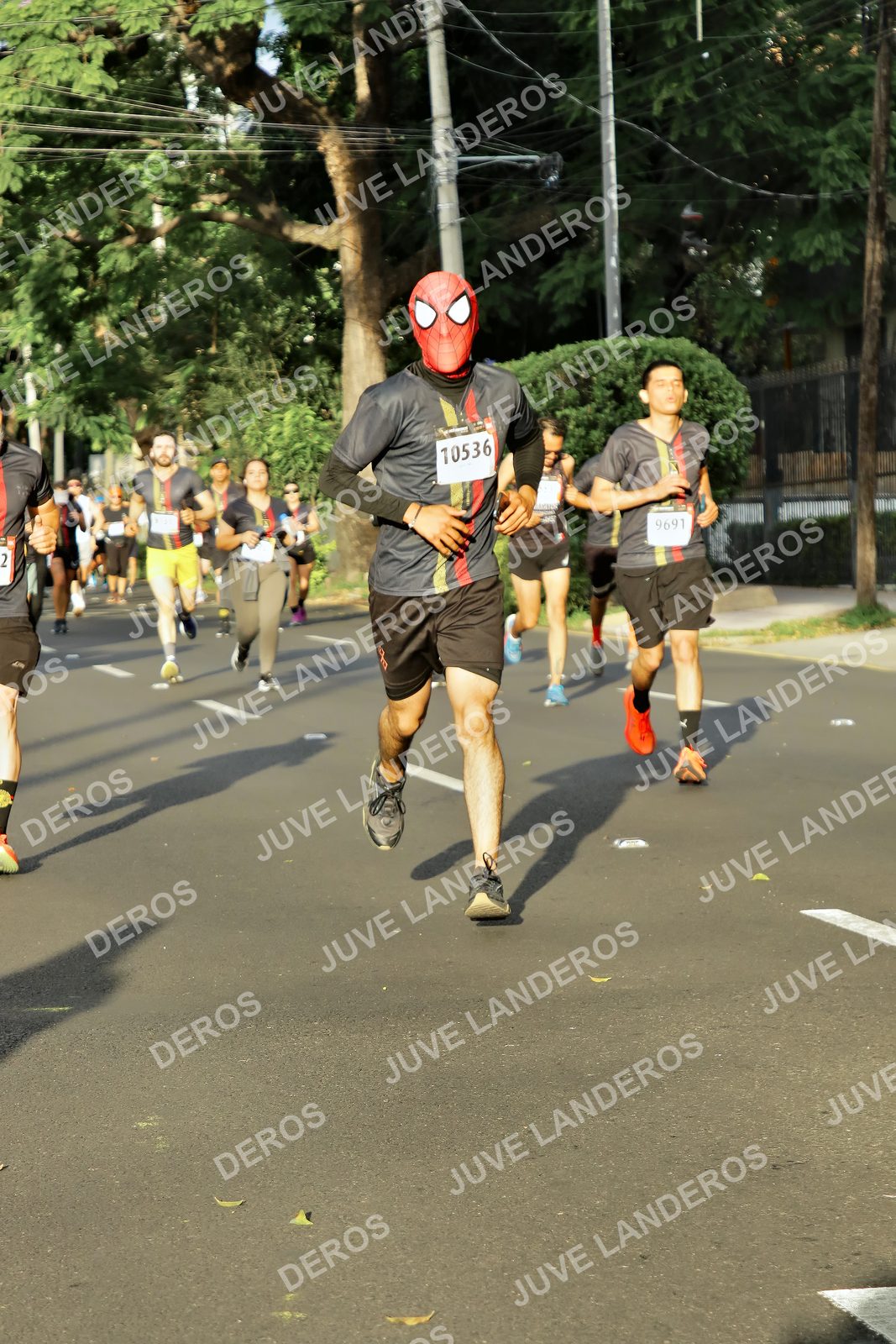Foto de la X Carrera Leones Negros Red Cola 2026 en Rectoría General de la UdeG, Av. Juárez 976 (meta en Av. Enrique Díaz de León y Pedro Moreno), Guadalajara a las 07:38 · dorsal 10536, 9691