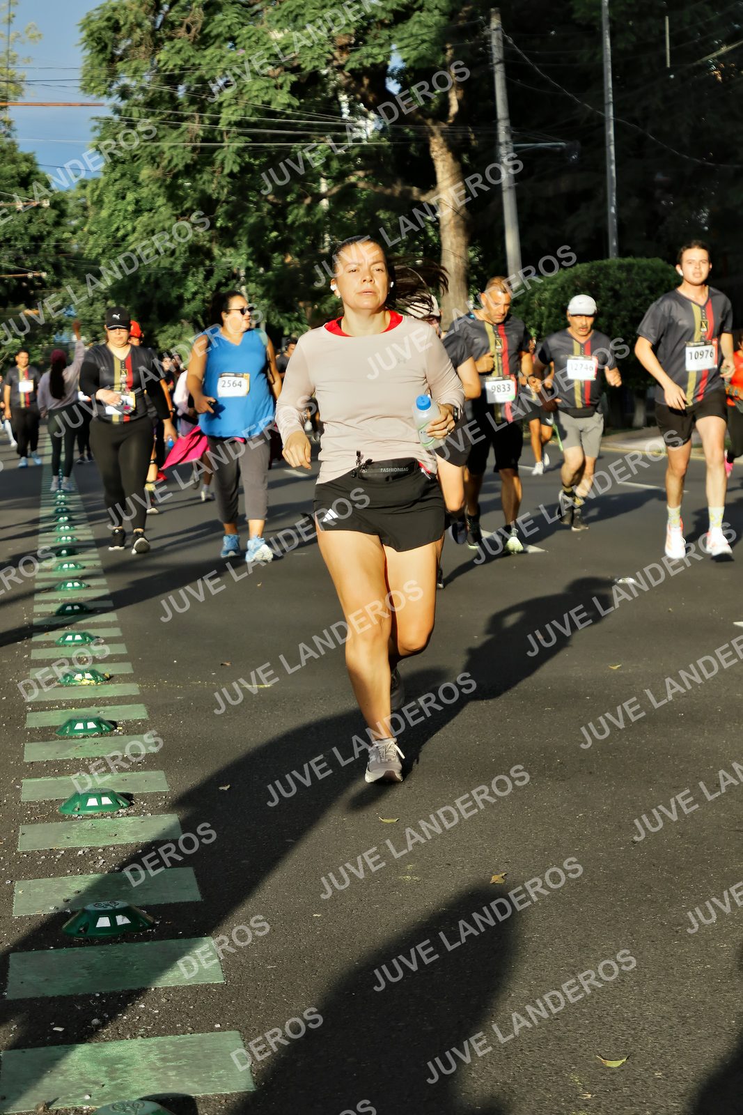Foto de la X Carrera Leones Negros Red Cola 2026 en Rectoría General de la UdeG, Av. Juárez 976 (meta en Av. Enrique Díaz de León y Pedro Moreno), Guadalajara a las 07:43 · dorsal 2564, 9833, 10976
