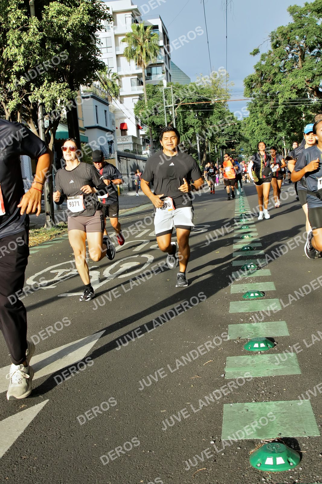 Foto de la X Carrera Leones Negros Red Cola 2026 en Rectoría General de la UdeG, Av. Juárez 976 (meta en Av. Enrique Díaz de León y Pedro Moreno), Guadalajara a las 07:57 · dorsal 9371, 990