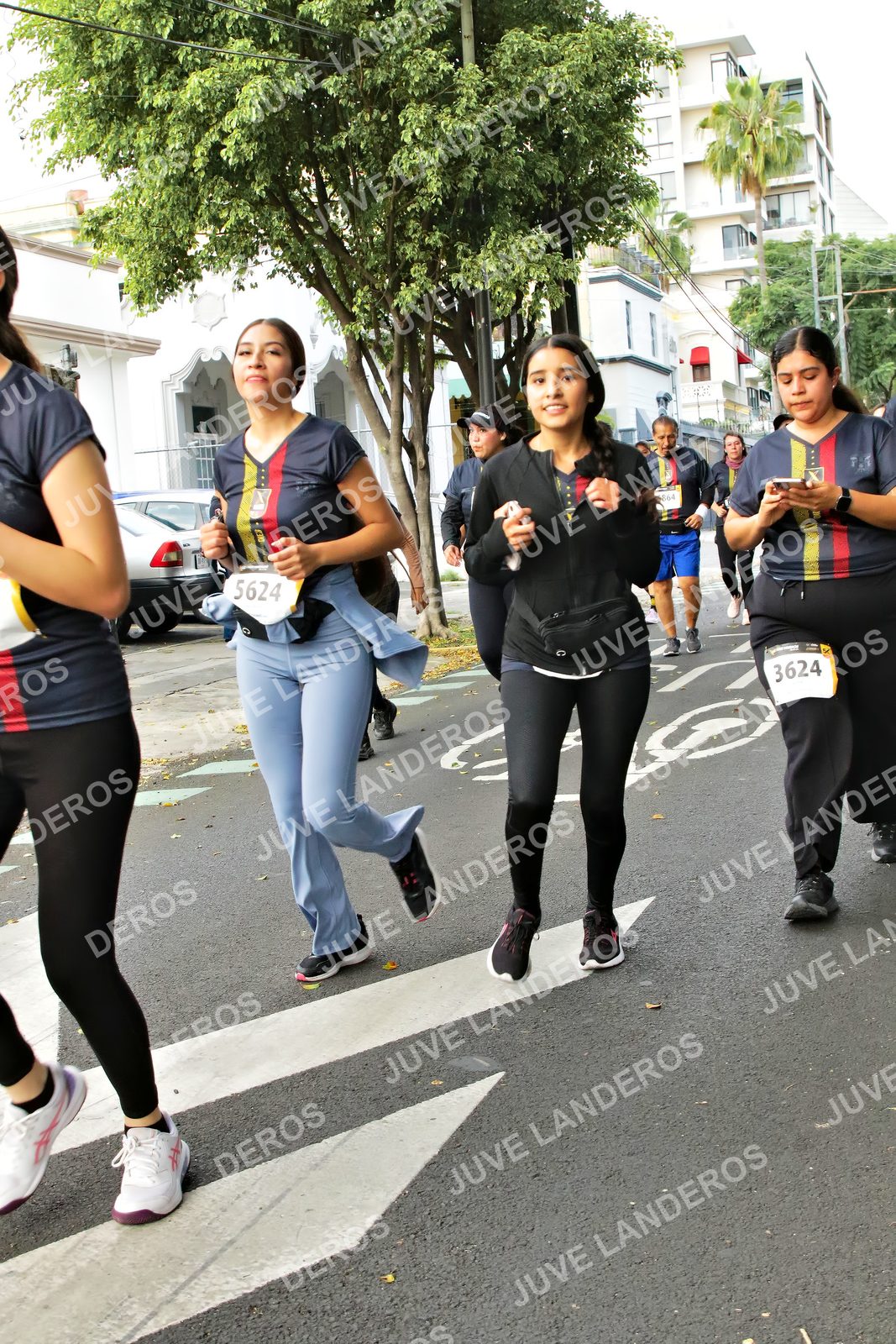 Foto de la X Carrera Leones Negros Red Cola 2026 en Rectoría General de la UdeG, Av. Juárez 976 (meta en Av. Enrique Díaz de León y Pedro Moreno), Guadalajara a las 07:18 · dorsal 5624, 3624