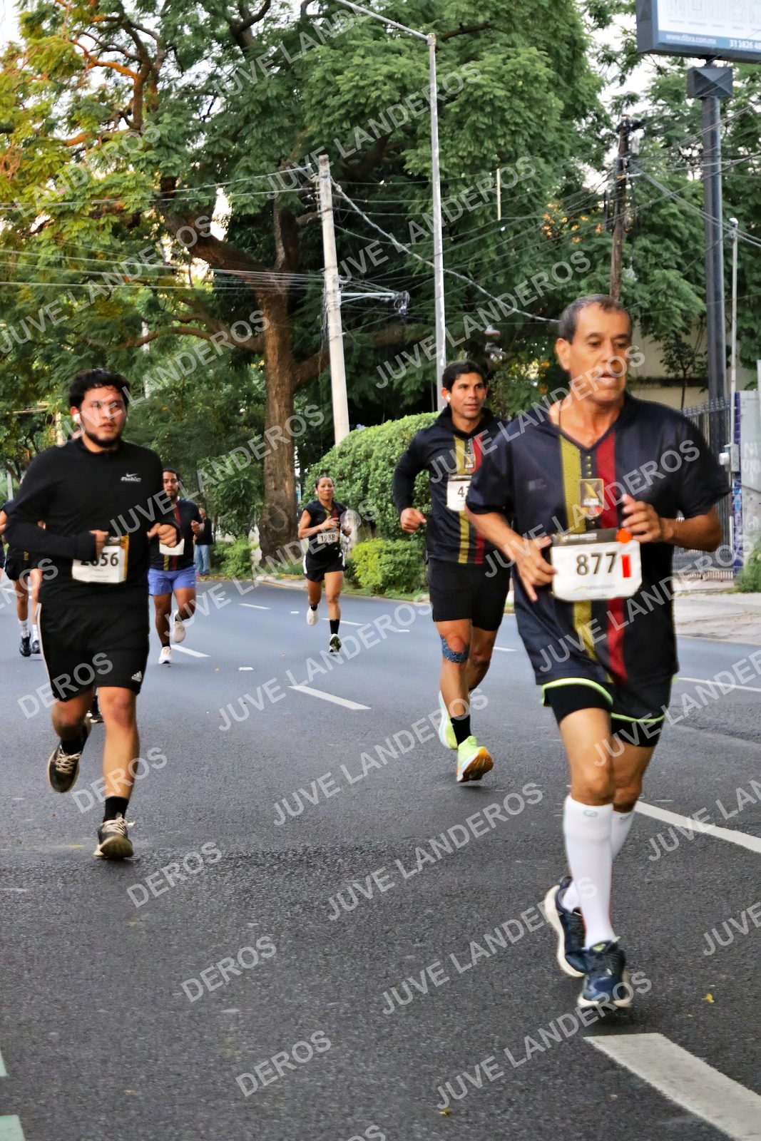 Foto de la X Carrera Leones Negros Red Cola 2026 en Rectoría General de la UdeG, Av. Juárez 976 (meta en Av. Enrique Díaz de León y Pedro Moreno), Guadalajara a las 04:58 · dorsal 877, 56, 1988