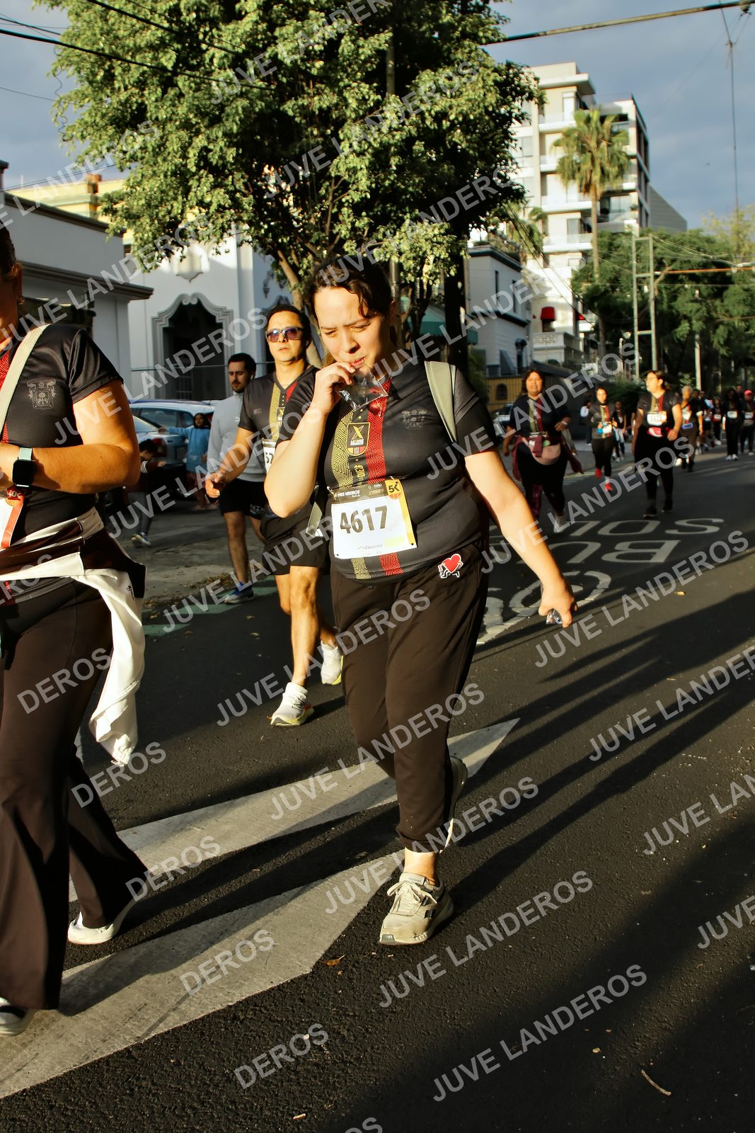 Foto de la X Carrera Leones Negros Red Cola 2026 en Rectoría General de la UdeG, Av. Juárez 976 (meta en Av. Enrique Díaz de León y Pedro Moreno), Guadalajara a las 07:29 · dorsal 4617