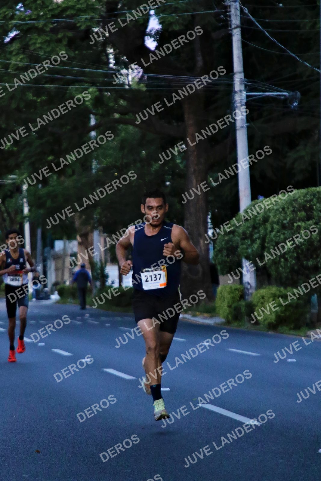 Foto de la X Carrera Leones Negros Red Cola 2026 en Rectoría General de la UdeG, Av. Juárez 976 (meta en Av. Enrique Díaz de León y Pedro Moreno), Guadalajara a las 04:49 · dorsal 3804