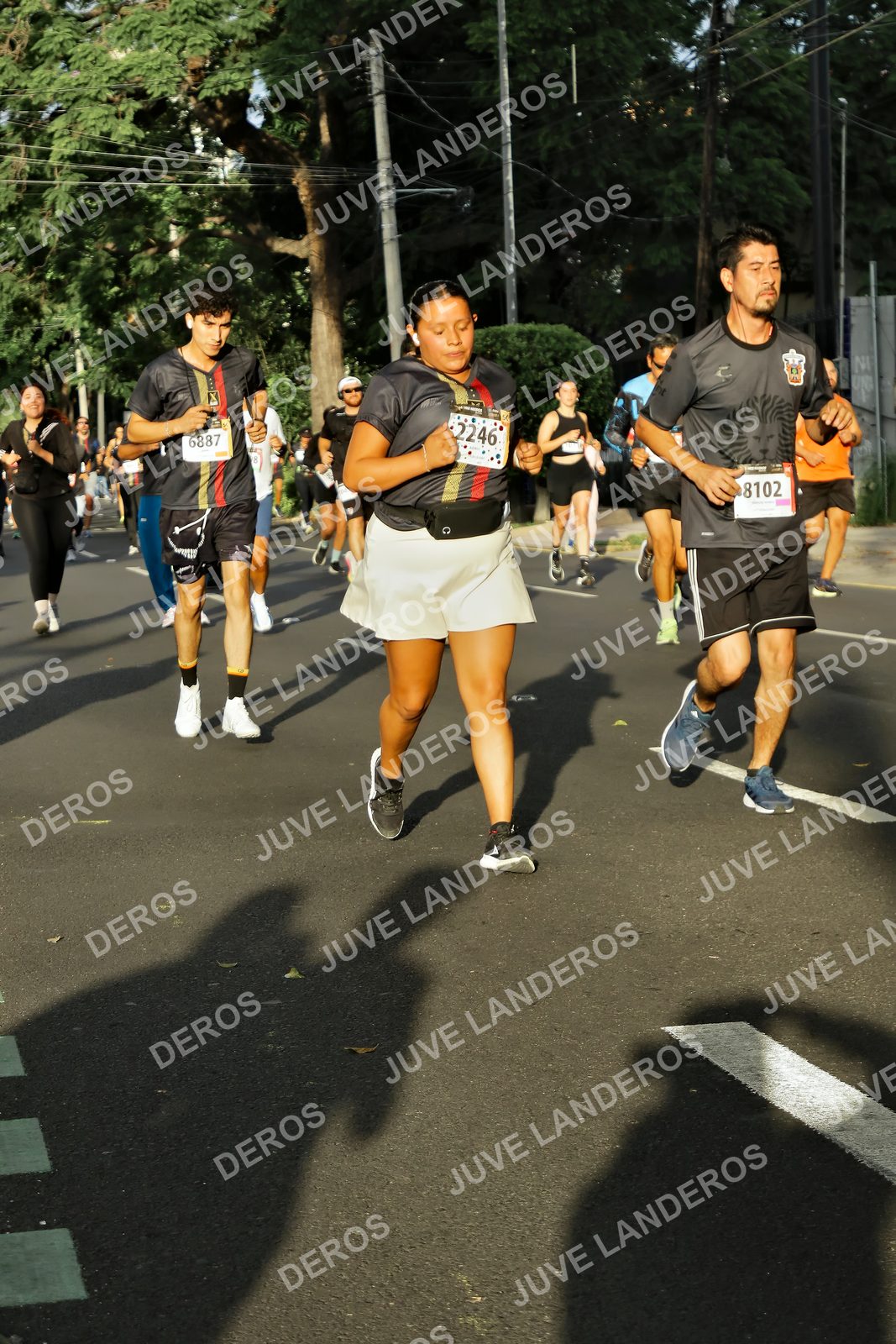 Foto de la X Carrera Leones Negros Red Cola 2026 en Rectoría General de la UdeG, Av. Juárez 976 (meta en Av. Enrique Díaz de León y Pedro Moreno), Guadalajara a las 07:37 · dorsal 8102, 6887, 2246
