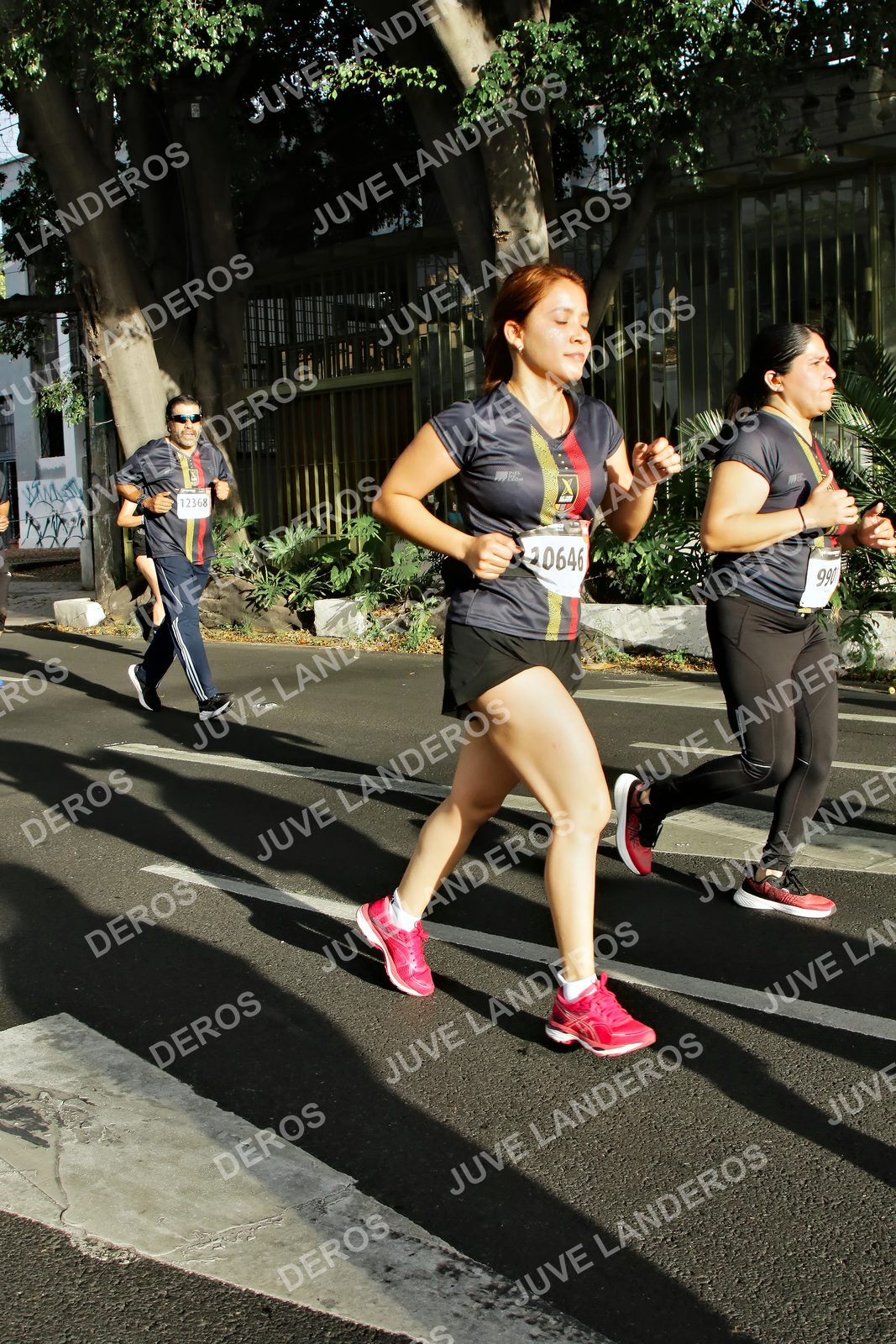 Foto de la X Carrera Leones Negros Red Cola 2026 en Rectoría General de la UdeG, Av. Juárez 976 (meta en Av. Enrique Díaz de León y Pedro Moreno), Guadalajara a las 07:58 · dorsal 990, 12368, 20646