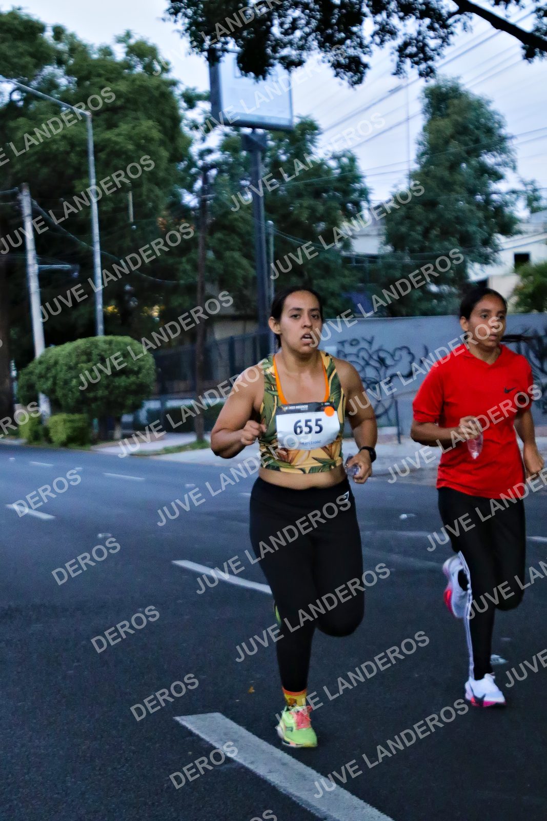 Foto de la X Carrera Leones Negros Red Cola 2026 en Rectoría General de la UdeG, Av. Juárez 976 (meta en Av. Enrique Díaz de León y Pedro Moreno), Guadalajara a las 04:53 · dorsal 655