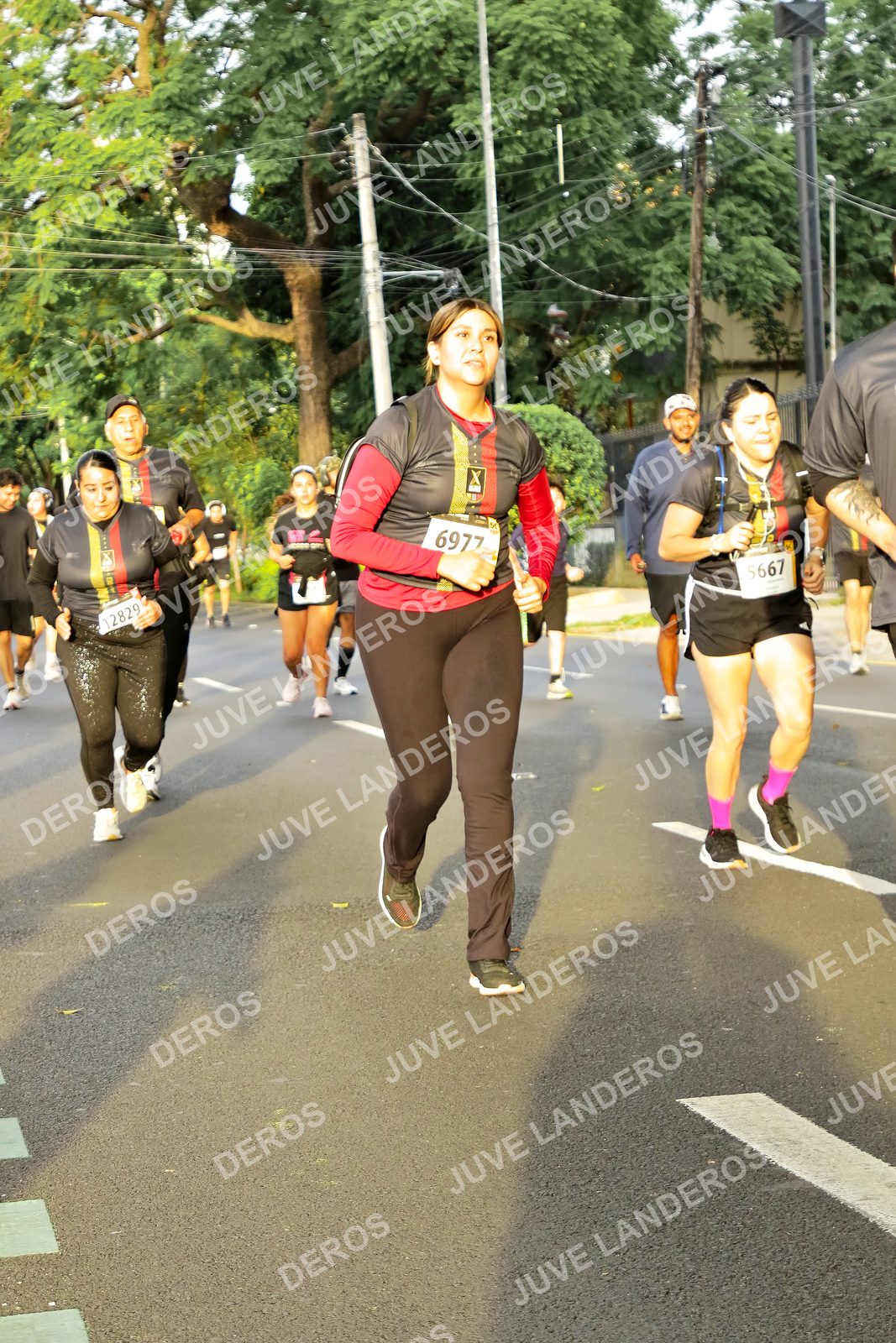 Foto de la X Carrera Leones Negros Red Cola 2026 en Rectoría General de la UdeG, Av. Juárez 976 (meta en Av. Enrique Díaz de León y Pedro Moreno), Guadalajara a las 07:23 · dorsal 6977, 5667, 12829