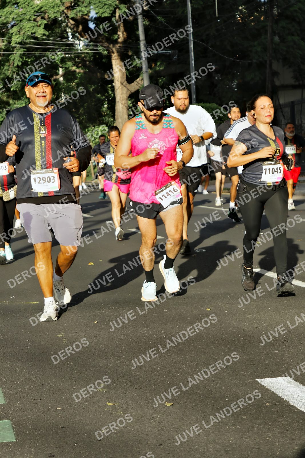 Foto de la X Carrera Leones Negros Red Cola 2026 en Rectoría General de la UdeG, Av. Juárez 976 (meta en Av. Enrique Díaz de León y Pedro Moreno), Guadalajara a las 07:52 · dorsal 12903, 102, 11045, 11416