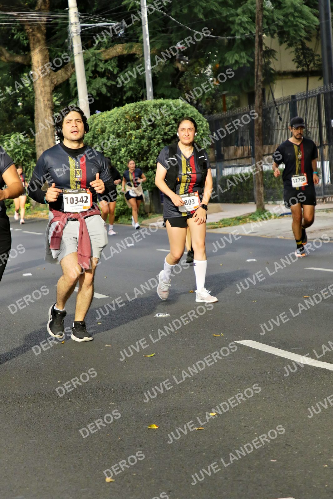Foto de la X Carrera Leones Negros Red Cola 2026 en Rectoría General de la UdeG, Av. Juárez 976 (meta en Av. Enrique Díaz de León y Pedro Moreno), Guadalajara a las 08:11 · dorsal 10342, 803, 12798