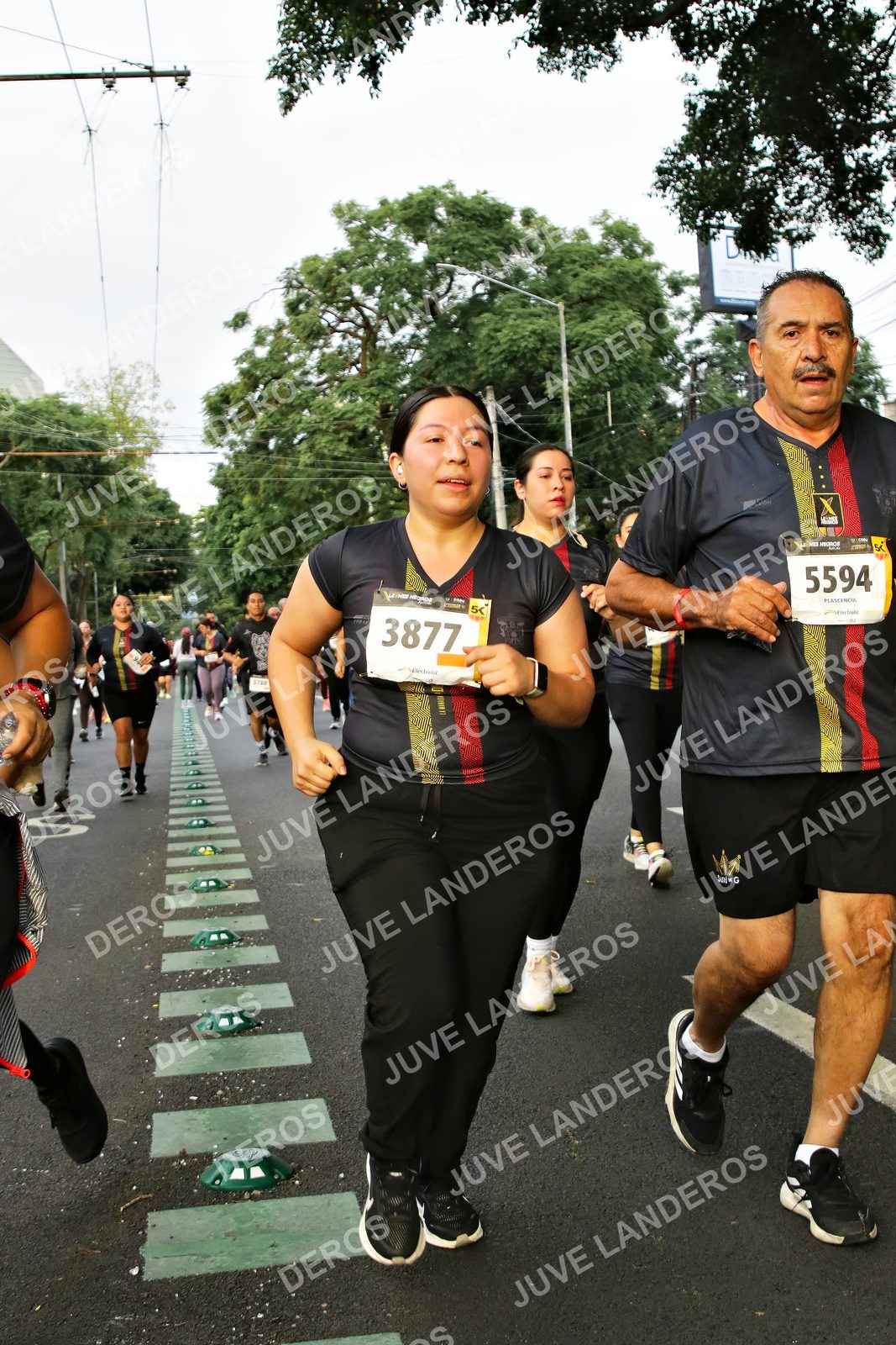Foto de la X Carrera Leones Negros Red Cola 2026 en Rectoría General de la UdeG, Av. Juárez 976 (meta en Av. Enrique Díaz de León y Pedro Moreno), Guadalajara a las 07:21 · dorsal 5594, 3877
