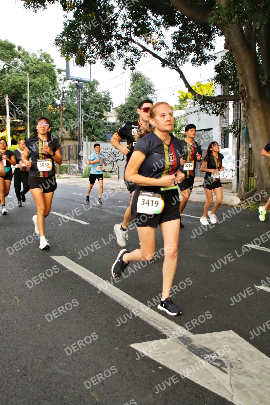 Foto de la X Carrera Leones Negros Red Cola 2026 en Rectoría General de la UdeG, Av. Juárez 976 (meta en Av. Enrique Díaz de León y Pedro Moreno), Guadalajara a las 05:03 · dorsal 3419, 2256, 3858