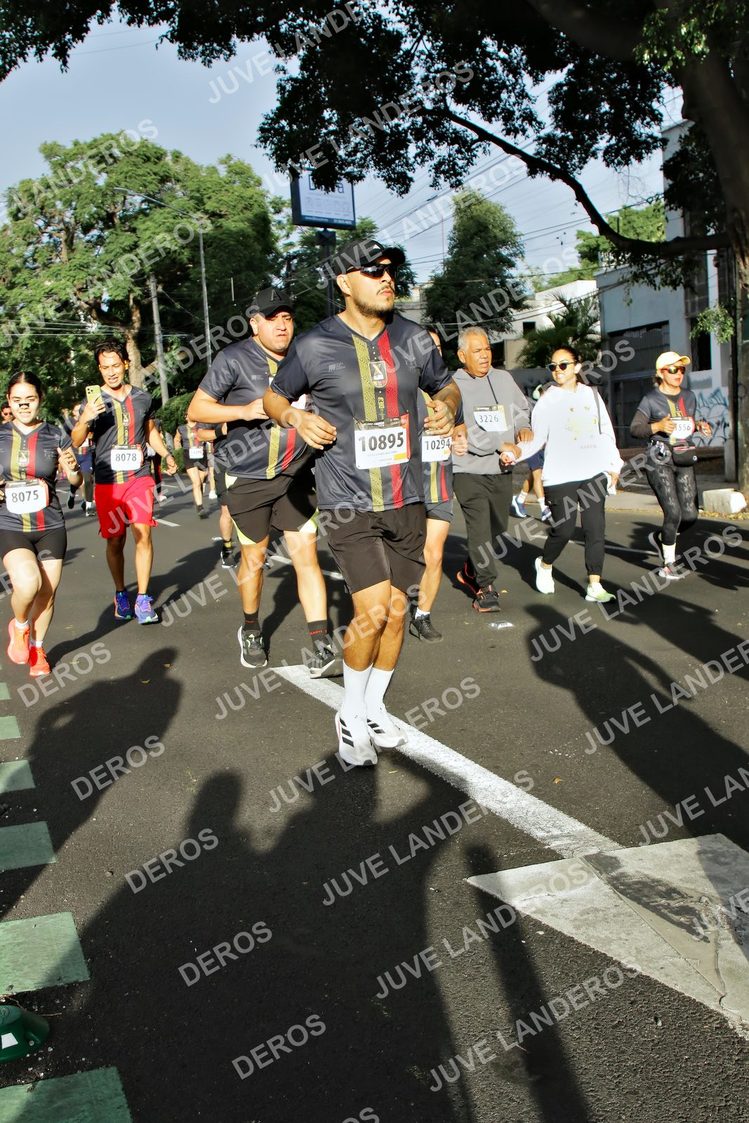 Foto de la X Carrera Leones Negros Red Cola 2026 en Rectoría General de la UdeG, Av. Juárez 976 (meta en Av. Enrique Díaz de León y Pedro Moreno), Guadalajara a las 07:58 · dorsal 8075, 8078, 3226, 10895