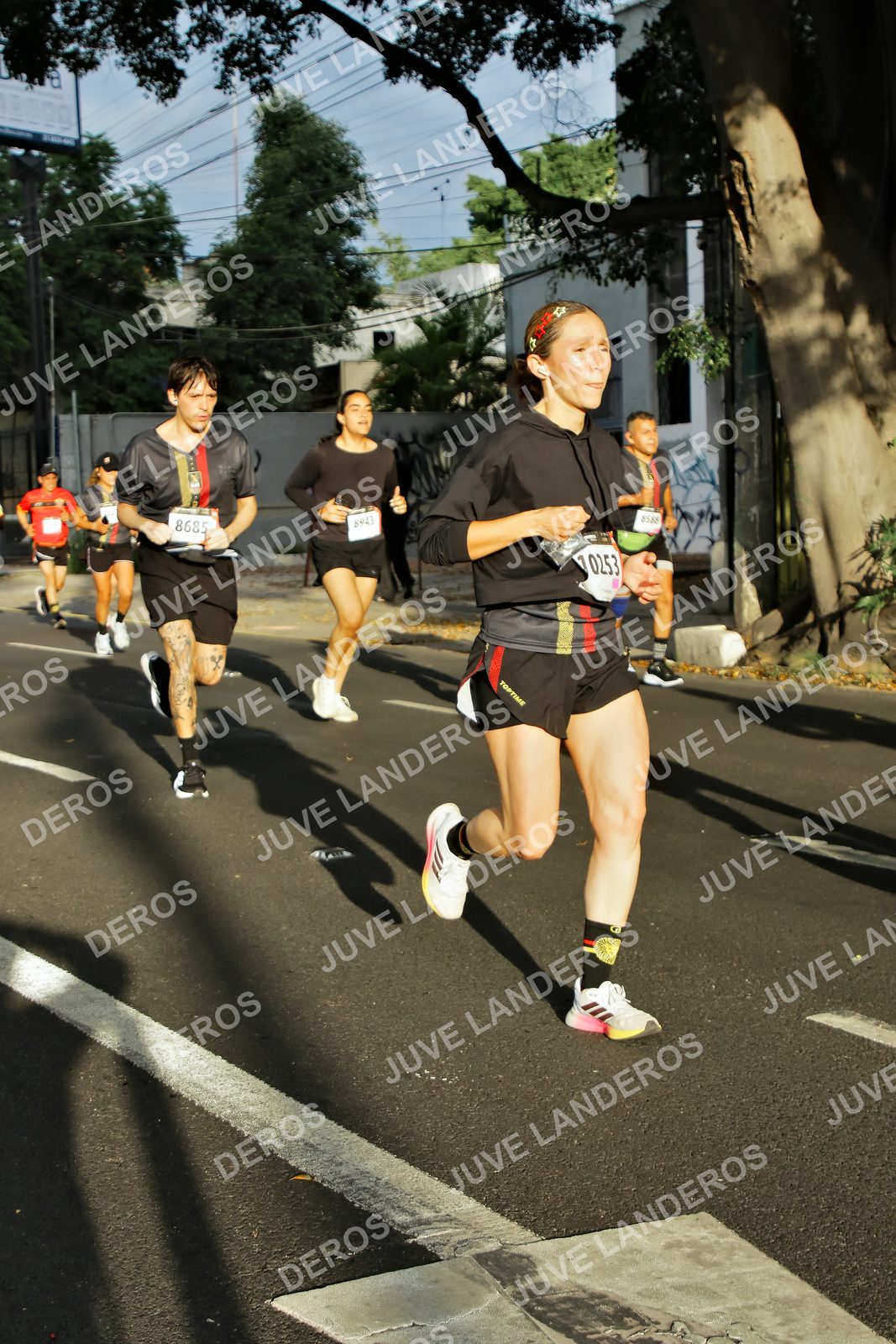 Foto de la X Carrera Leones Negros Red Cola 2026 en Rectoría General de la UdeG, Av. Juárez 976 (meta en Av. Enrique Díaz de León y Pedro Moreno), Guadalajara a las 07:39 · dorsal 253, 8685, 8943