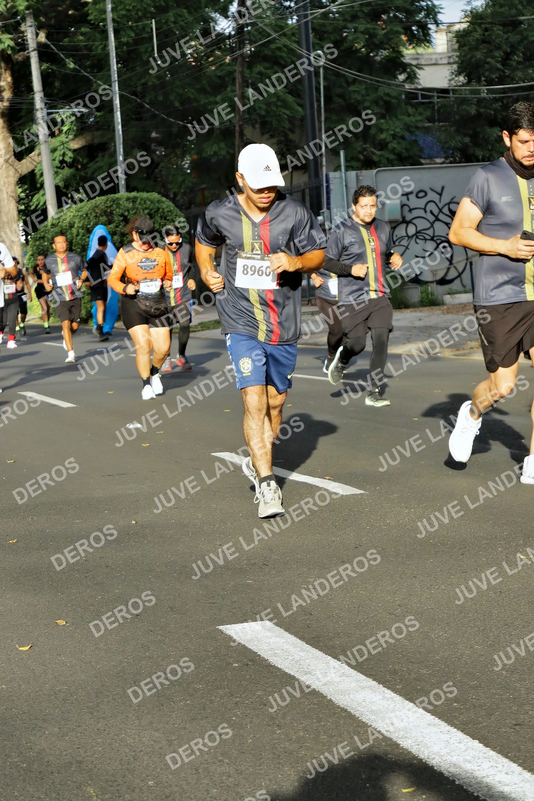 Foto de la X Carrera Leones Negros Red Cola 2026 en Rectoría General de la UdeG, Av. Juárez 976 (meta en Av. Enrique Díaz de León y Pedro Moreno), Guadalajara a las 07:58 · dorsal 8960