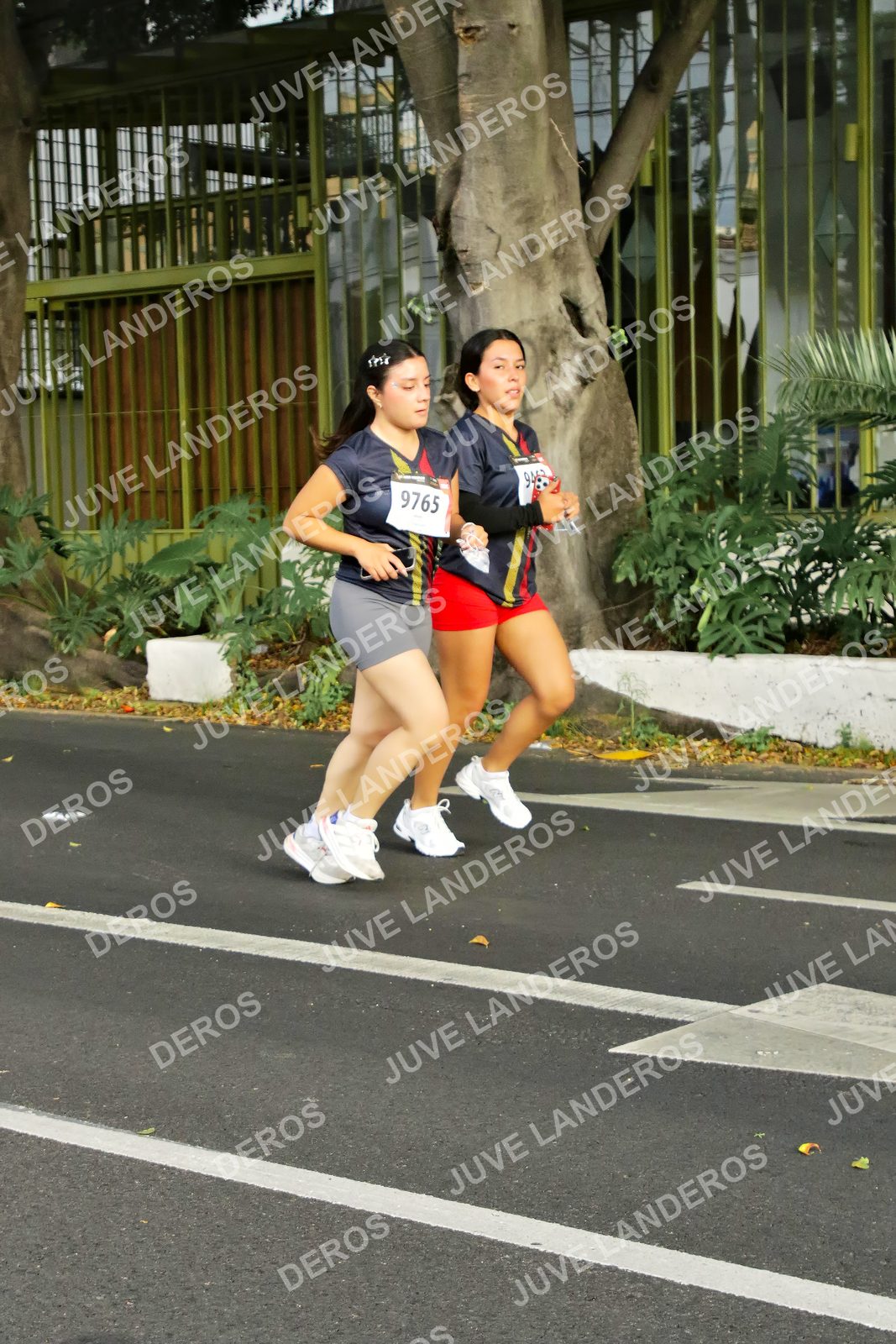 Foto de la X Carrera Leones Negros Red Cola 2026 en Rectoría General de la UdeG, Av. Juárez 976 (meta en Av. Enrique Díaz de León y Pedro Moreno), Guadalajara a las 08:16 · dorsal 9765