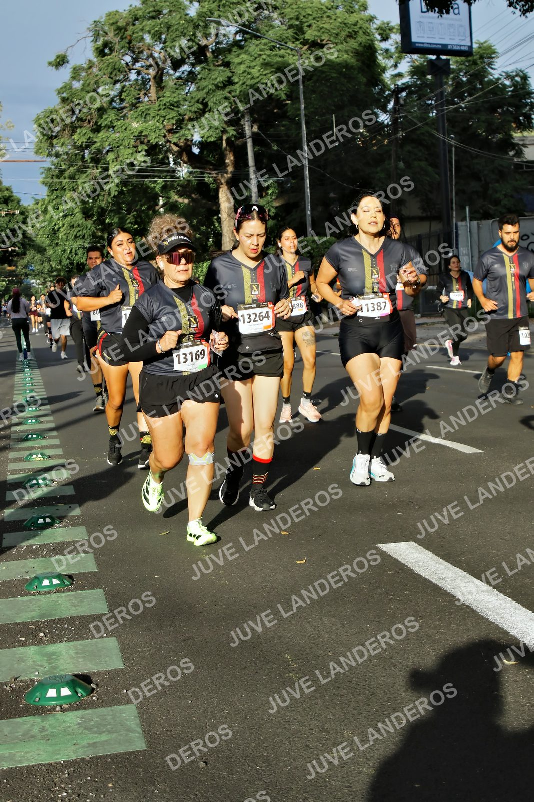 Foto de la X Carrera Leones Negros Red Cola 2026 en Rectoría General de la UdeG, Av. Juárez 976 (meta en Av. Enrique Díaz de León y Pedro Moreno), Guadalajara a las 07:58 · dorsal 13169, 13264, 888, 80