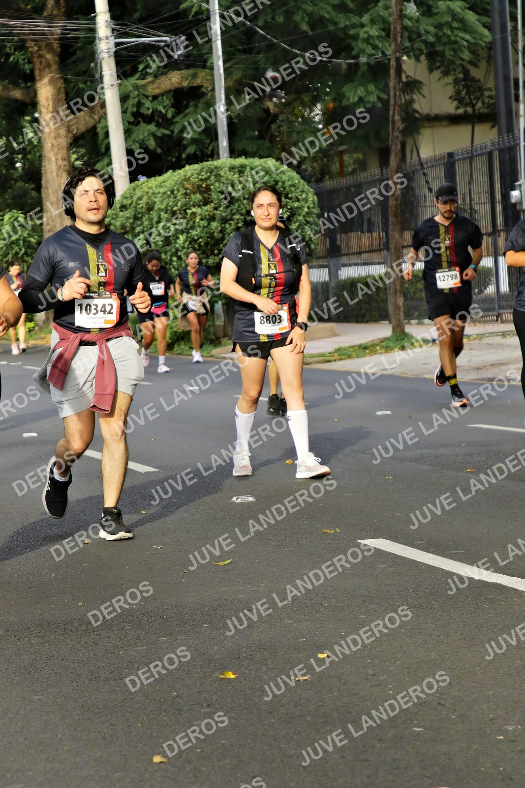Foto de la X Carrera Leones Negros Red Cola 2026 en Rectoría General de la UdeG, Av. Juárez 976 (meta en Av. Enrique Díaz de León y Pedro Moreno), Guadalajara a las 08:11 · dorsal 10342, 8803, 12798