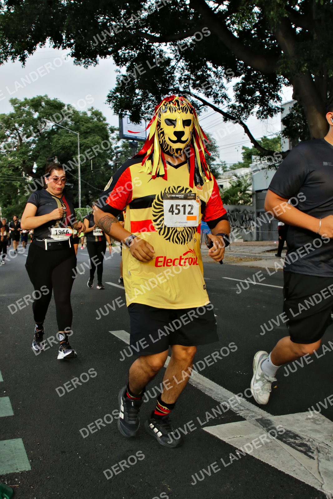 Foto de la X Carrera Leones Negros Red Cola 2026 en Rectoría General de la UdeG, Av. Juárez 976 (meta en Av. Enrique Díaz de León y Pedro Moreno), Guadalajara a las 07:21 · dorsal 4512, 1966