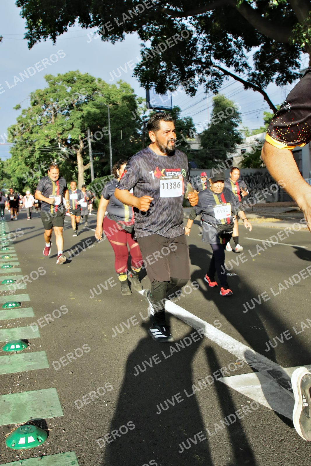 Foto de la X Carrera Leones Negros Red Cola 2026 en Rectoría General de la UdeG, Av. Juárez 976 (meta en Av. Enrique Díaz de León y Pedro Moreno), Guadalajara a las 07:52 · dorsal 11386, 6542