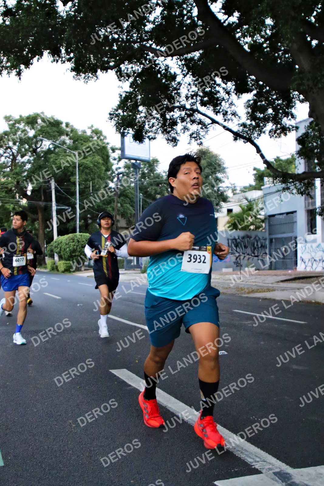 Foto de la X Carrera Leones Negros Red Cola 2026 en Rectoría General de la UdeG, Av. Juárez 976 (meta en Av. Enrique Díaz de León y Pedro Moreno), Guadalajara a las 04:56 · dorsal 3932, 6077, 6585