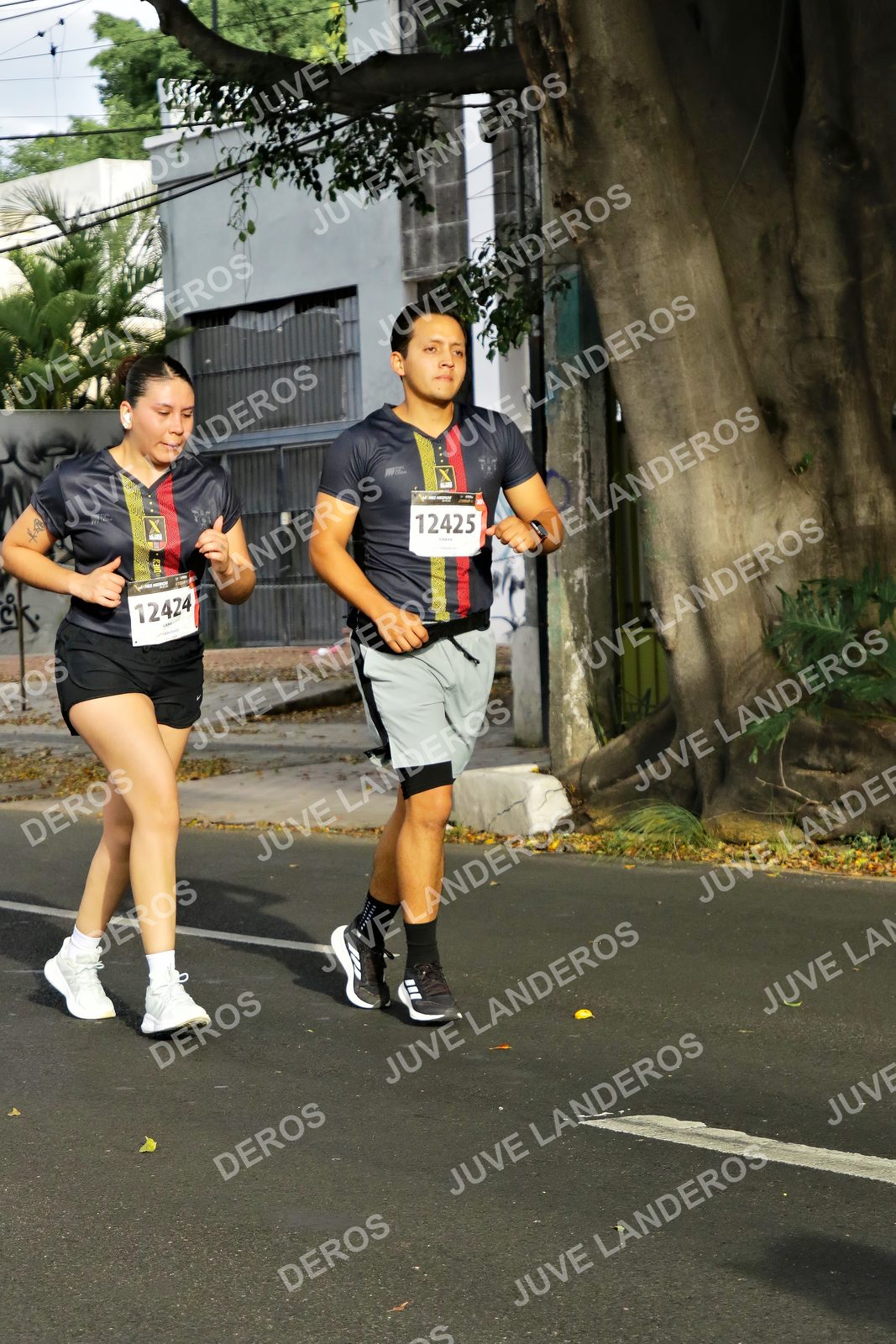 Foto de la X Carrera Leones Negros Red Cola 2026 en Rectoría General de la UdeG, Av. Juárez 976 (meta en Av. Enrique Díaz de León y Pedro Moreno), Guadalajara a las 08:12 · dorsal 12425, 12424