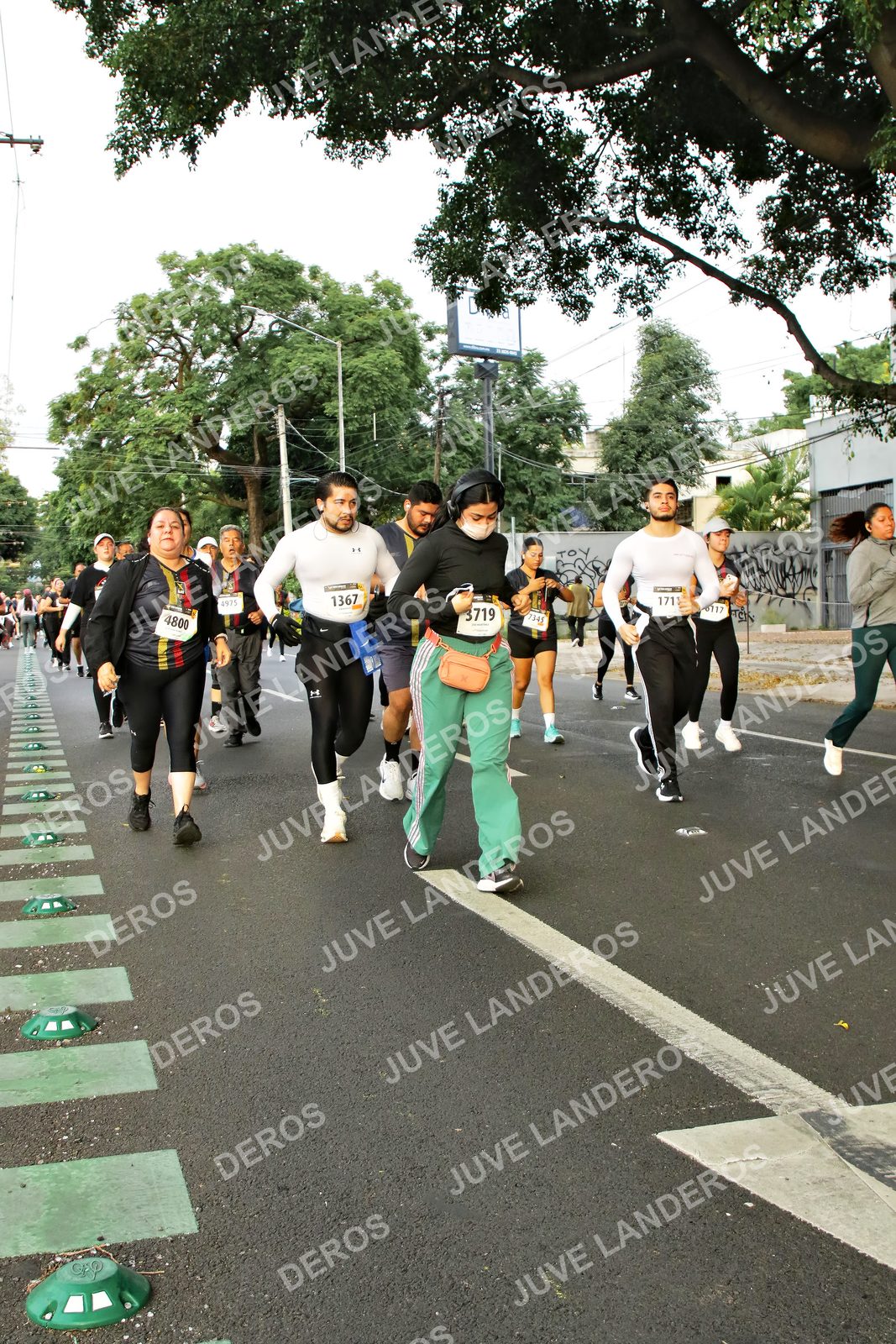 Foto de la X Carrera Leones Negros Red Cola 2026 en Rectoría General de la UdeG, Av. Juárez 976 (meta en Av. Enrique Díaz de León y Pedro Moreno), Guadalajara a las 07:21 · dorsal 3719, 4800, 1367, 171