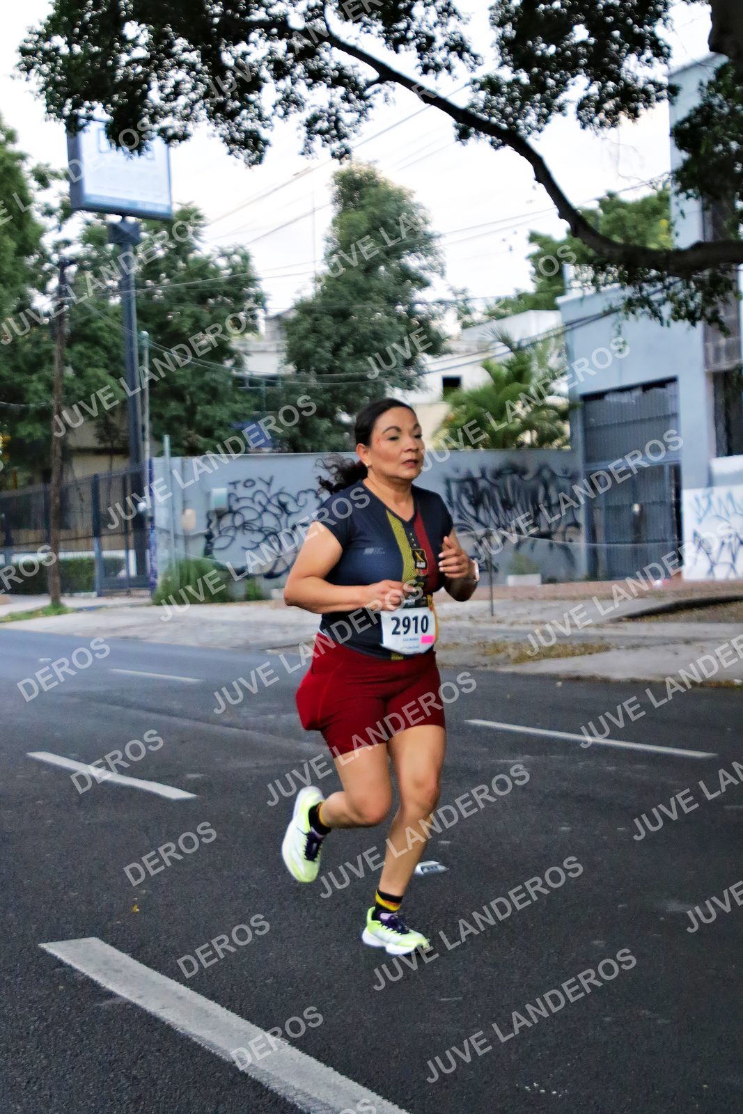 Foto de la X Carrera Leones Negros Red Cola 2026 en Rectoría General de la UdeG, Av. Juárez 976 (meta en Av. Enrique Díaz de León y Pedro Moreno), Guadalajara a las 04:56 · dorsal 2910