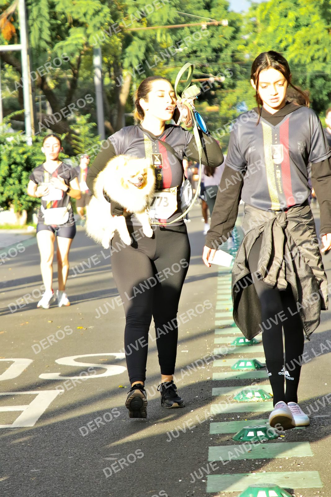 Foto de la X Carrera Leones Negros Red Cola 2026 en Rectoría General de la UdeG, Av. Juárez 976 (meta en Av. Enrique Díaz de León y Pedro Moreno), Guadalajara a las 07:45