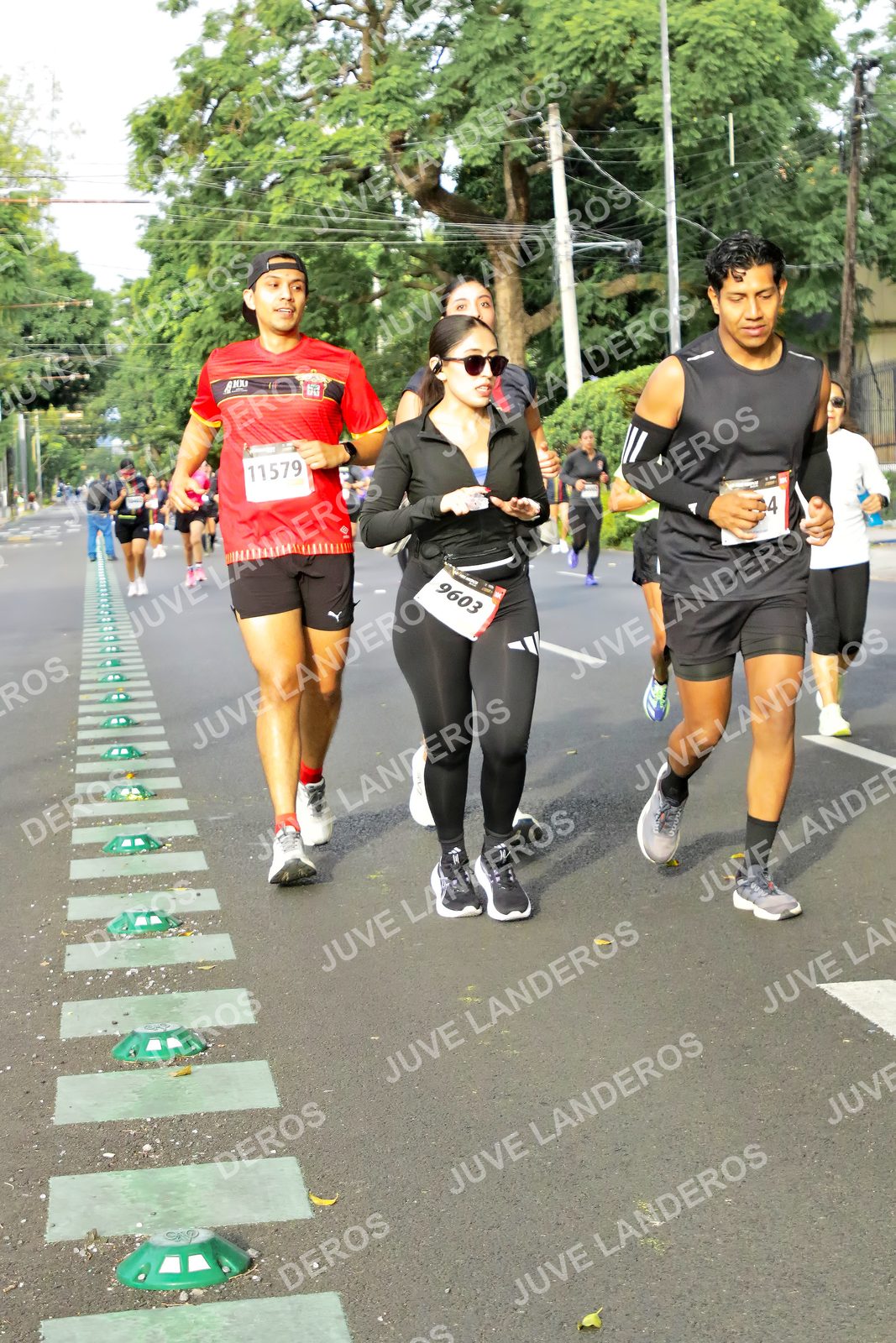 Foto de la X Carrera Leones Negros Red Cola 2026 en Rectoría General de la UdeG, Av. Juárez 976 (meta en Av. Enrique Díaz de León y Pedro Moreno), Guadalajara a las 08:09 · dorsal 11579, 9603