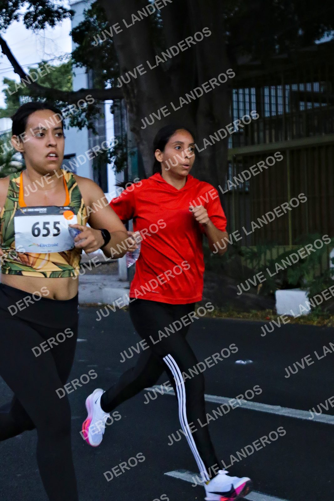 Foto de la X Carrera Leones Negros Red Cola 2026 en Rectoría General de la UdeG, Av. Juárez 976 (meta en Av. Enrique Díaz de León y Pedro Moreno), Guadalajara a las 04:53 · dorsal 655