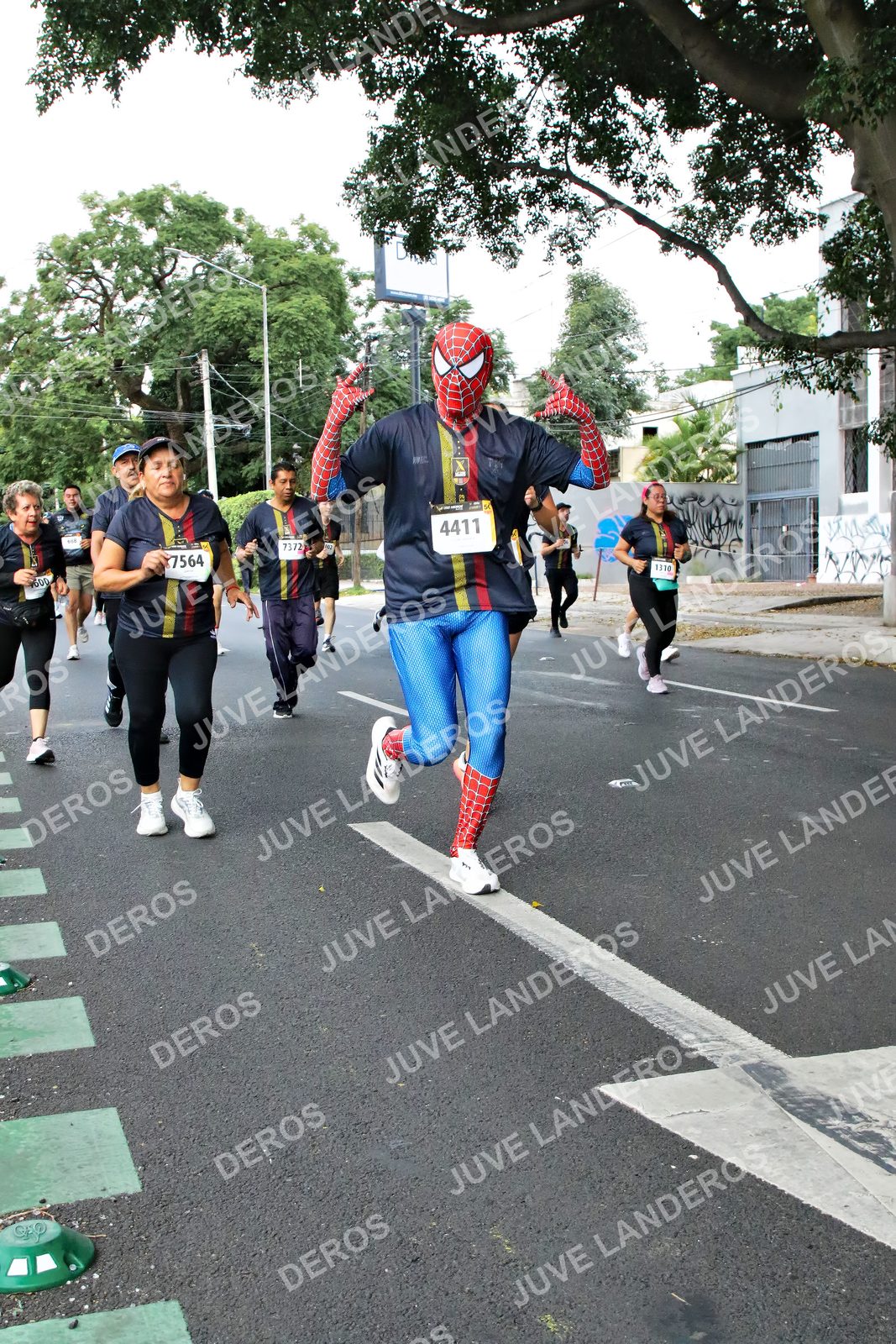 Foto de la X Carrera Leones Negros Red Cola 2026 en Rectoría General de la UdeG, Av. Juárez 976 (meta en Av. Enrique Díaz de León y Pedro Moreno), Guadalajara a las 05:13 · dorsal 4411, 7372, 7564