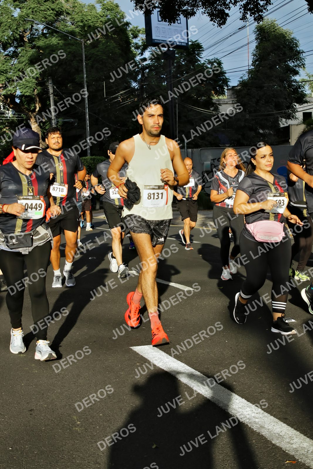 Foto de la X Carrera Leones Negros Red Cola 2026 en Rectoría General de la UdeG, Av. Juárez 976 (meta en Av. Enrique Díaz de León y Pedro Moreno), Guadalajara a las 07:47 · dorsal 449, 8131, 8718, 93