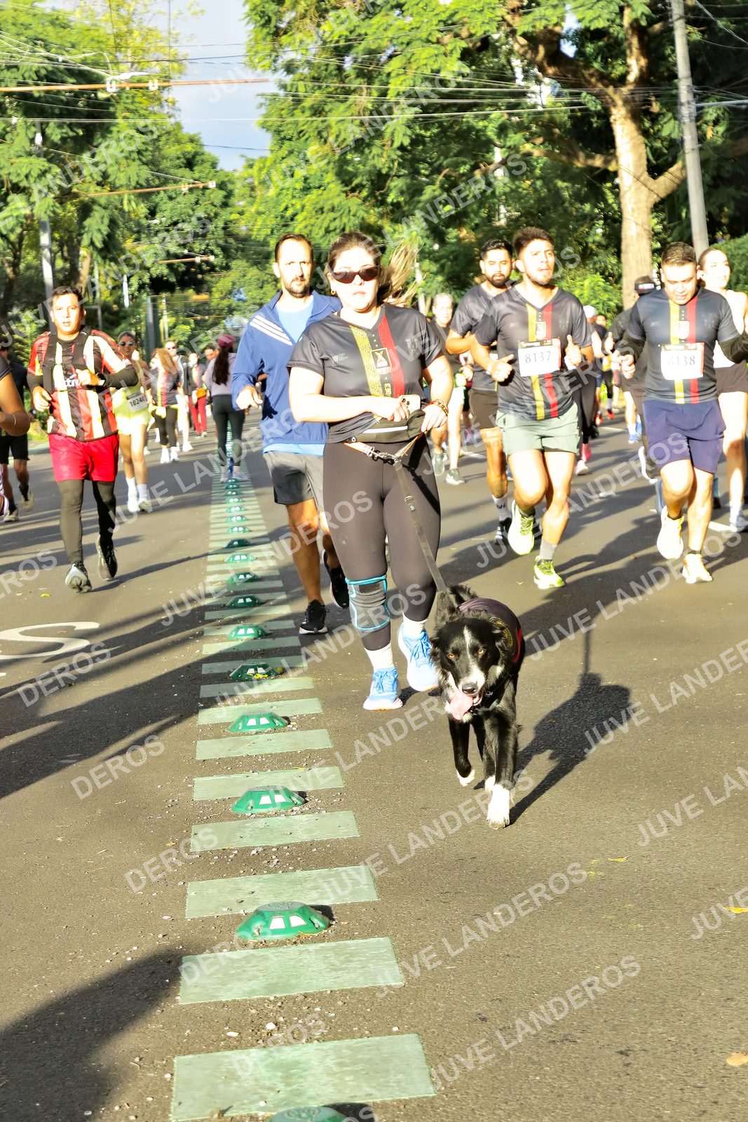 Foto de la X Carrera Leones Negros Red Cola 2026 en Rectoría General de la UdeG, Av. Juárez 976 (meta en Av. Enrique Díaz de León y Pedro Moreno), Guadalajara a las 07:49 · dorsal 8137