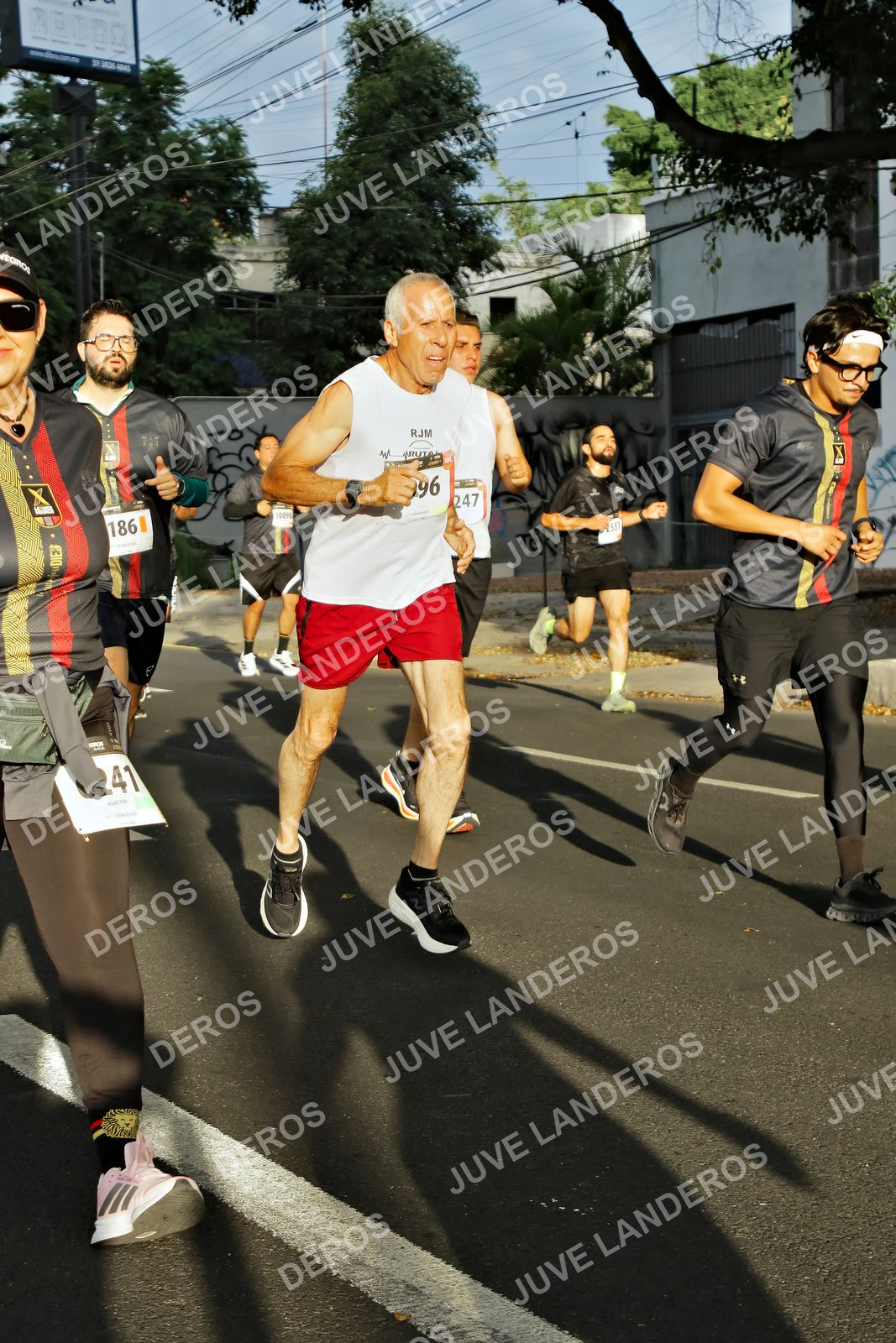 Foto de la X Carrera Leones Negros Red Cola 2026 en Rectoría General de la UdeG, Av. Juárez 976 (meta en Av. Enrique Díaz de León y Pedro Moreno), Guadalajara a las 07:38 · dorsal 186, 247, 96