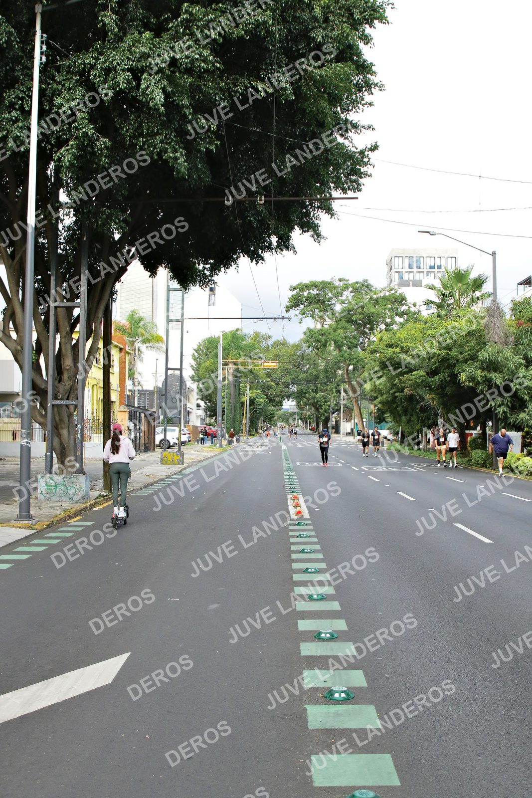 Foto de la X Carrera Leones Negros Red Cola 2026 en Rectoría General de la UdeG, Av. Juárez 976 (meta en Av. Enrique Díaz de León y Pedro Moreno), Guadalajara a las 08:25