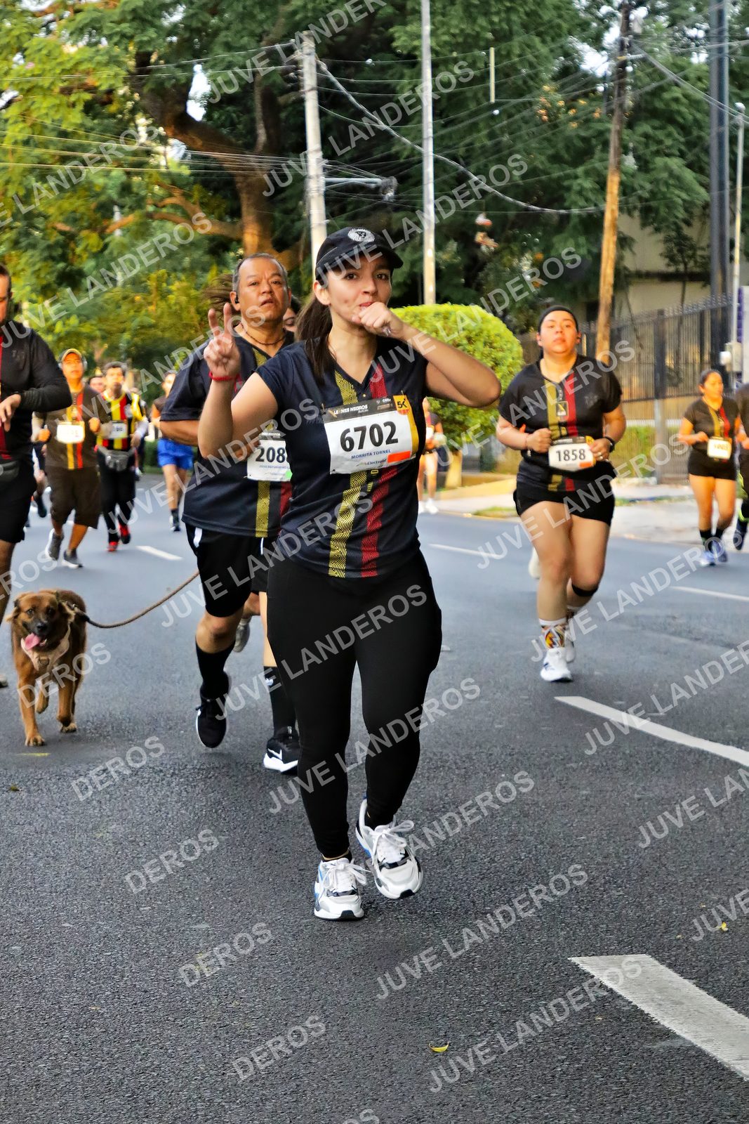 Foto de la X Carrera Leones Negros Red Cola 2026 en Rectoría General de la UdeG, Av. Juárez 976 (meta en Av. Enrique Díaz de León y Pedro Moreno), Guadalajara a las 05:07 · dorsal 6702, 1858, 208