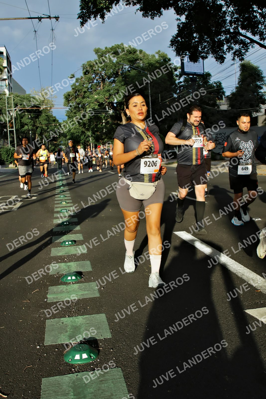Foto de la X Carrera Leones Negros Red Cola 2026 en Rectoría General de la UdeG, Av. Juárez 976 (meta en Av. Enrique Díaz de León y Pedro Moreno), Guadalajara a las 07:44 · dorsal 649, 9206, 775, 1712