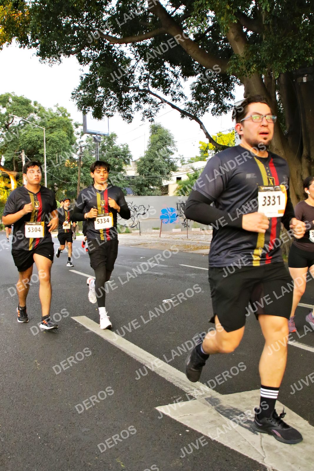 Foto de la X Carrera Leones Negros Red Cola 2026 en Rectoría General de la UdeG, Av. Juárez 976 (meta en Av. Enrique Díaz de León y Pedro Moreno), Guadalajara a las 05:01 · dorsal 3331, 5304, 5334