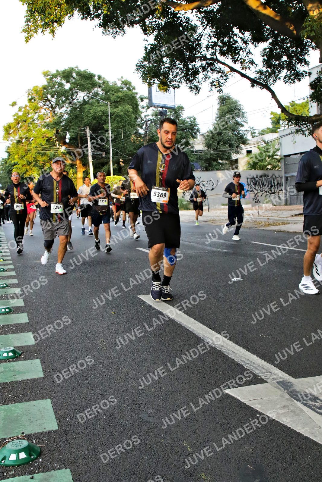 Foto de la X Carrera Leones Negros Red Cola 2026 en Rectoría General de la UdeG, Av. Juárez 976 (meta en Av. Enrique Díaz de León y Pedro Moreno), Guadalajara a las 05:06 · dorsal 5369, 1296, 1353, 6804