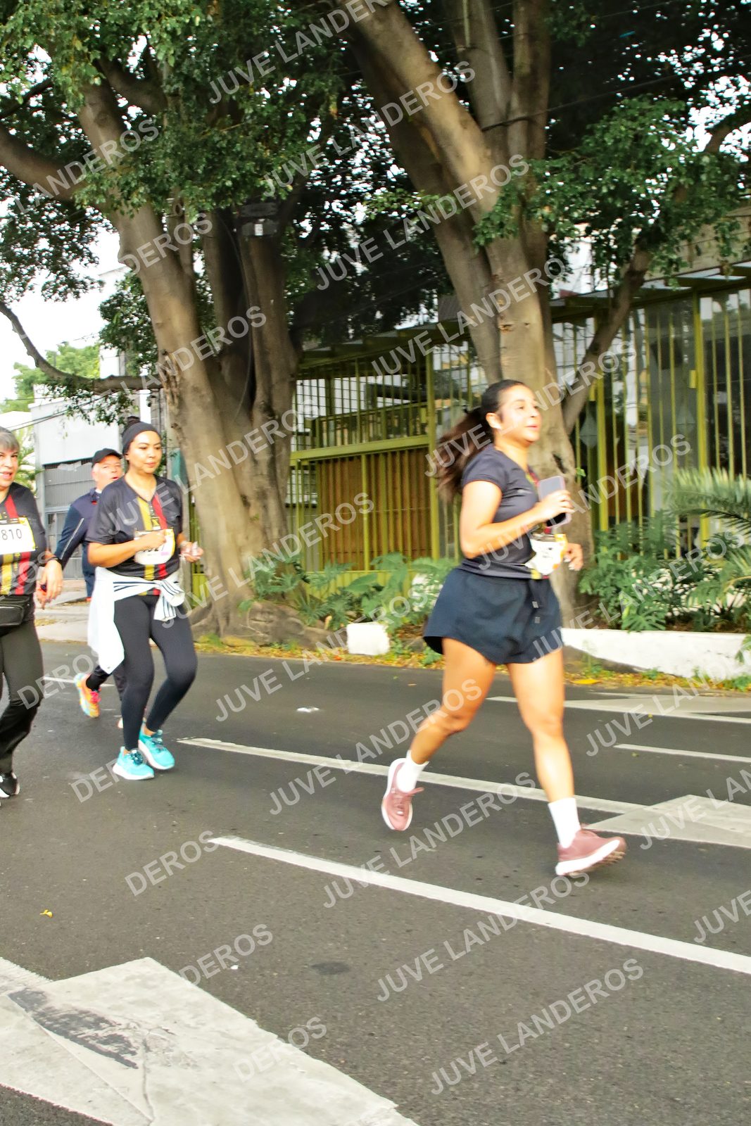 Foto de la X Carrera Leones Negros Red Cola 2026 en Rectoría General de la UdeG, Av. Juárez 976 (meta en Av. Enrique Díaz de León y Pedro Moreno), Guadalajara a las 07:20 · dorsal 810