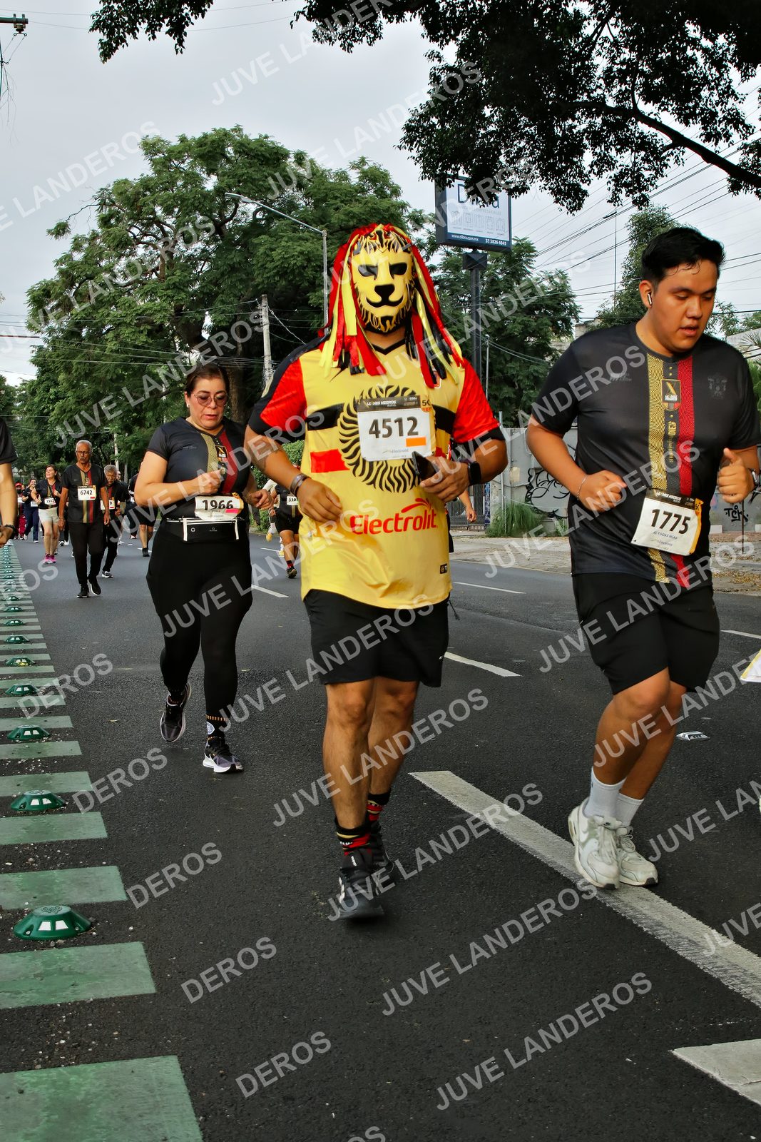 Foto de la X Carrera Leones Negros Red Cola 2026 en Rectoría General de la UdeG, Av. Juárez 976 (meta en Av. Enrique Díaz de León y Pedro Moreno), Guadalajara a las 07:21 · dorsal 1966, 4512, 1775, 6742