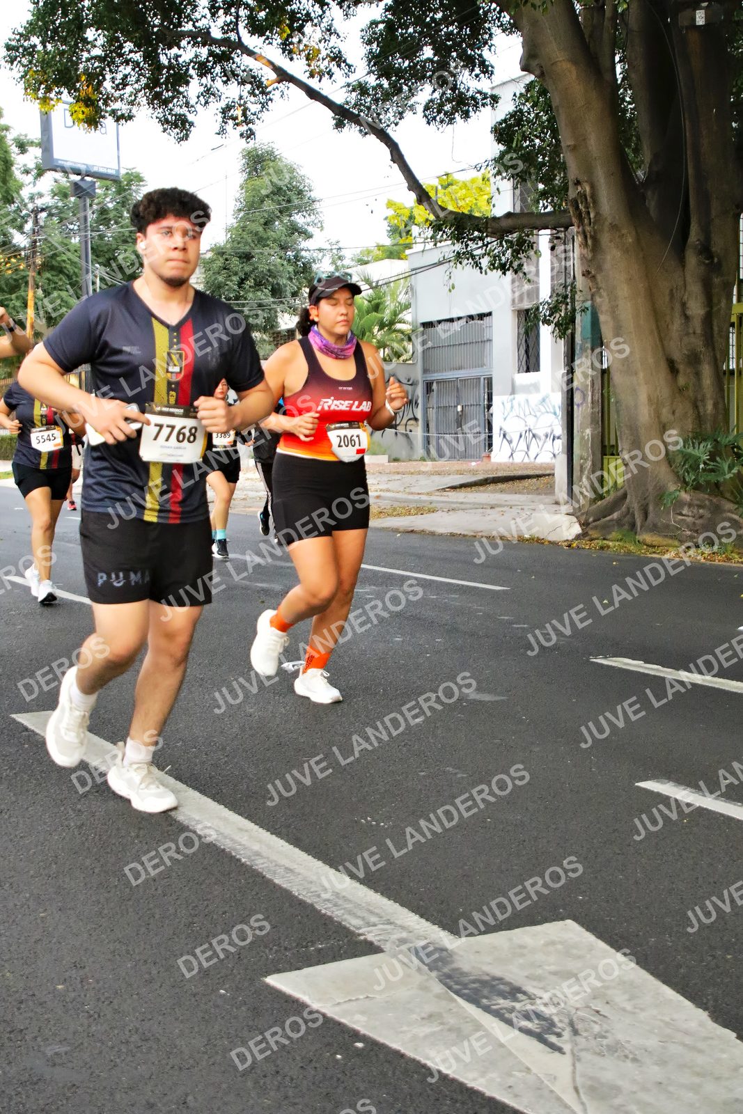 Foto de la X Carrera Leones Negros Red Cola 2026 en Rectoría General de la UdeG, Av. Juárez 976 (meta en Av. Enrique Díaz de León y Pedro Moreno), Guadalajara a las 05:04 · dorsal 2061, 7768, 5545