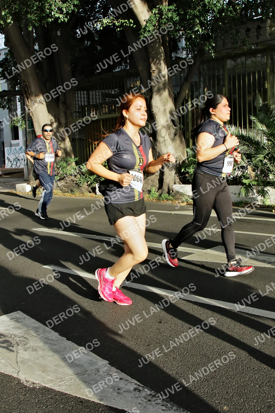 Foto de la X Carrera Leones Negros Red Cola 2026 en Rectoría General de la UdeG, Av. Juárez 976 (meta en Av. Enrique Díaz de León y Pedro Moreno), Guadalajara a las 07:58 · dorsal 990, 12368, 646
