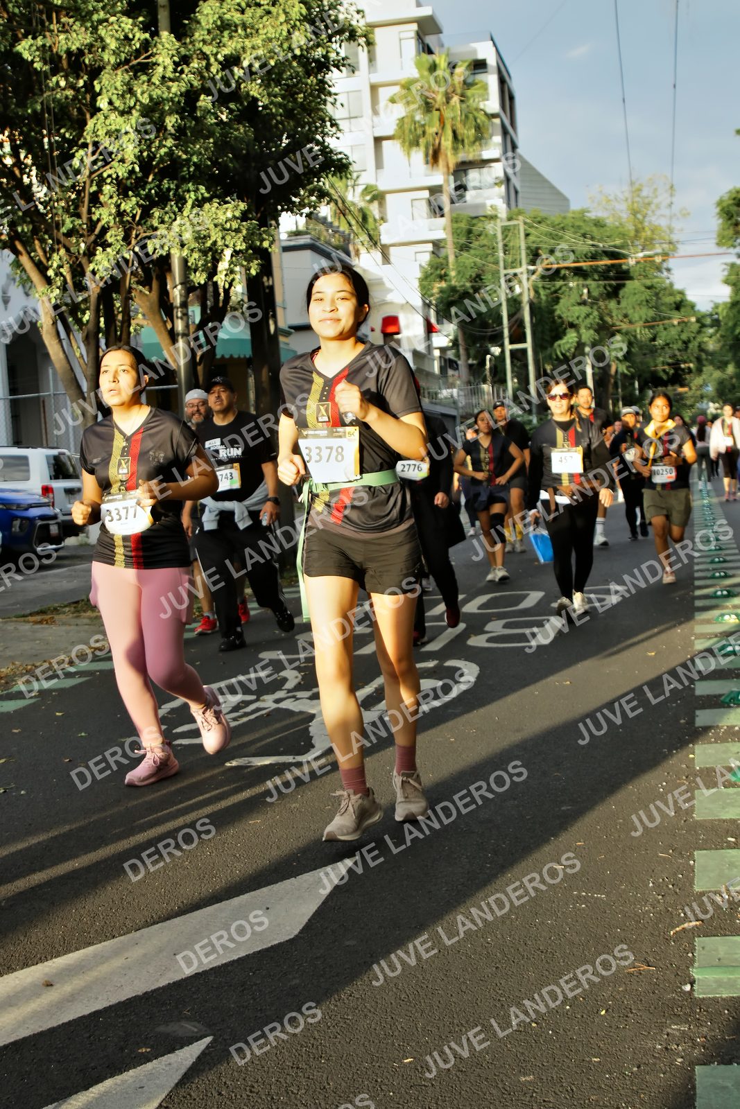 Foto de la X Carrera Leones Negros Red Cola 2026 en Rectoría General de la UdeG, Av. Juárez 976 (meta en Av. Enrique Díaz de León y Pedro Moreno), Guadalajara a las 07:24 · dorsal 2776, 3378, 3377, 743