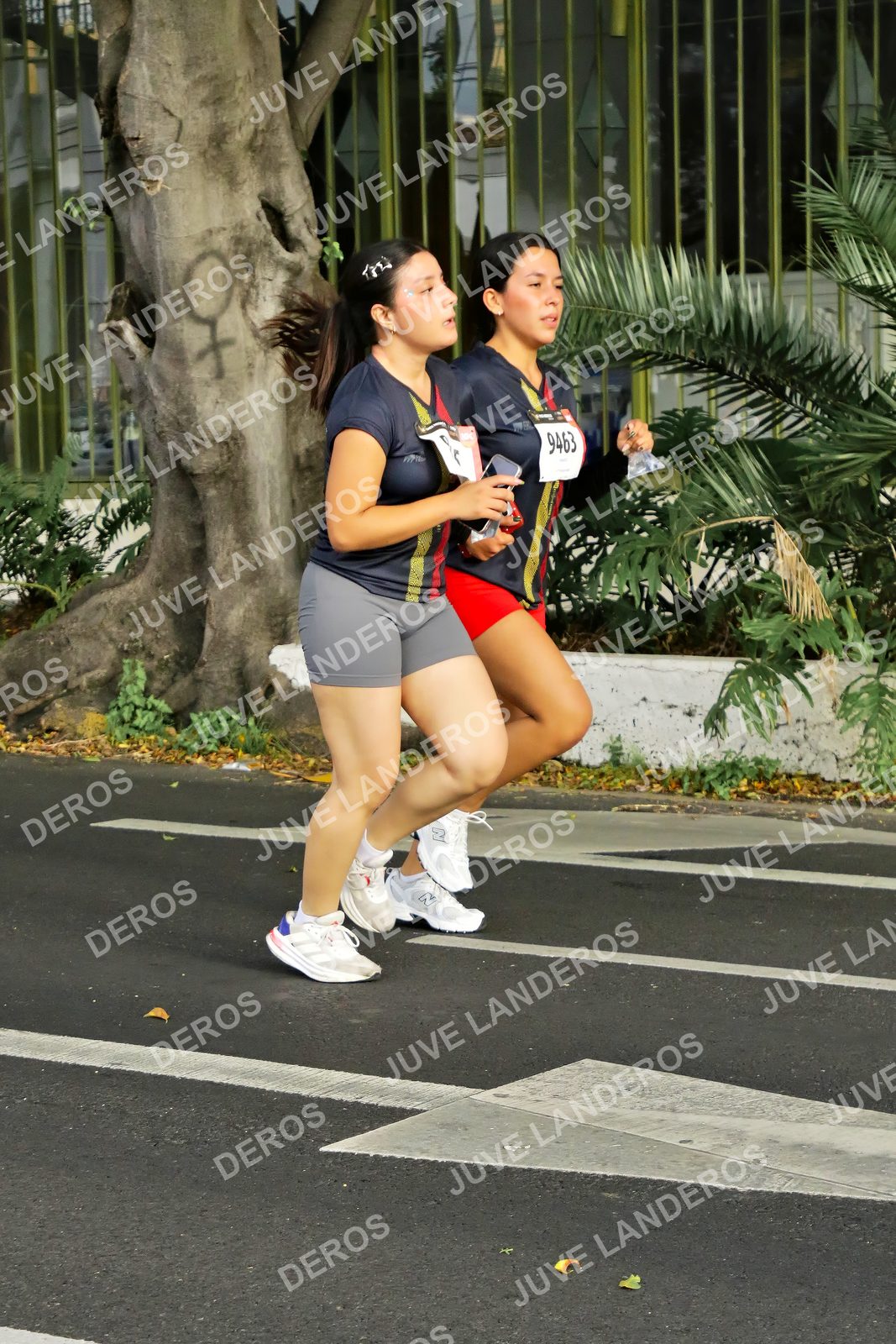 Foto de la X Carrera Leones Negros Red Cola 2026 en Rectoría General de la UdeG, Av. Juárez 976 (meta en Av. Enrique Díaz de León y Pedro Moreno), Guadalajara a las 08:16 · dorsal 9463