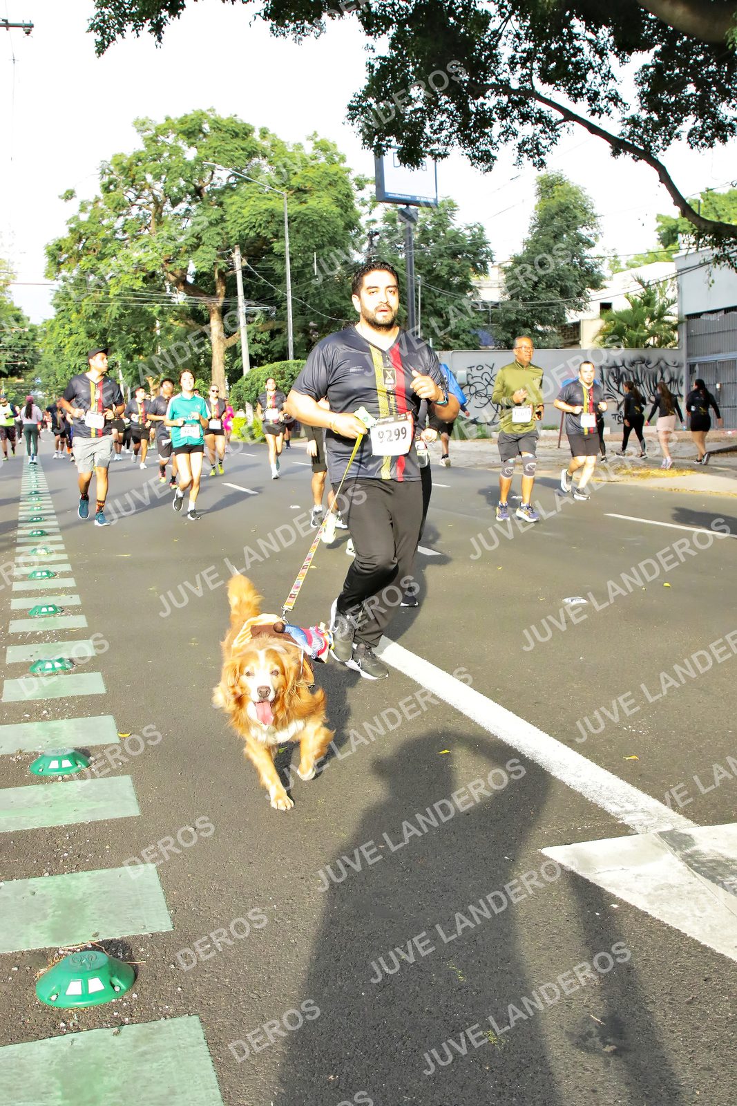 Foto de la X Carrera Leones Negros Red Cola 2026 en Rectoría General de la UdeG, Av. Juárez 976 (meta en Av. Enrique Díaz de León y Pedro Moreno), Guadalajara a las 08:02 · dorsal 9299