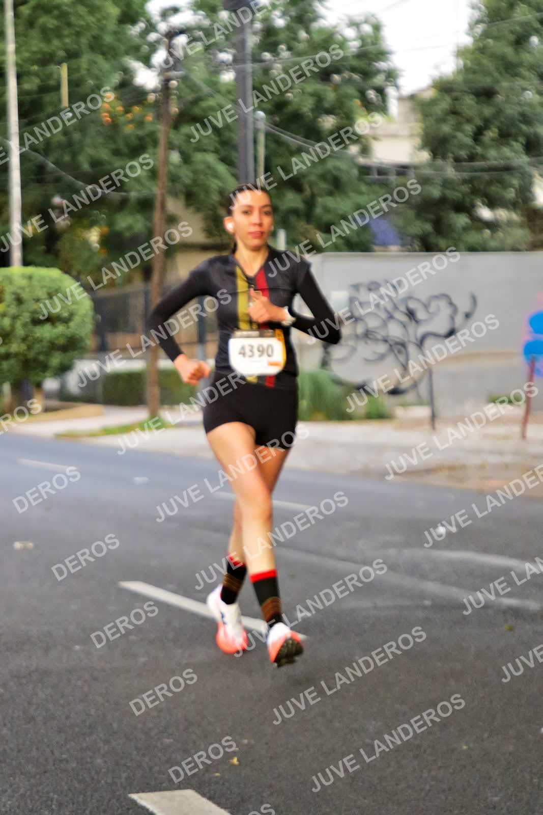 Foto de la X Carrera Leones Negros Red Cola 2026 en Rectoría General de la UdeG, Av. Juárez 976 (meta en Av. Enrique Díaz de León y Pedro Moreno), Guadalajara a las 04:59 · dorsal 4390