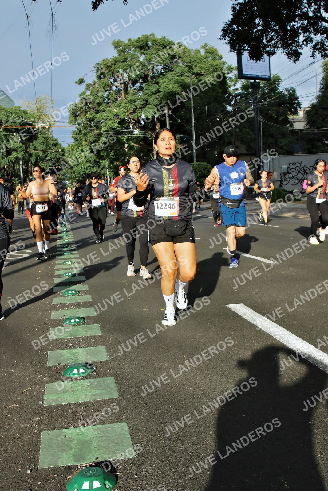Foto de la X Carrera Leones Negros Red Cola 2026 en Rectoría General de la UdeG, Av. Juárez 976 (meta en Av. Enrique Díaz de León y Pedro Moreno), Guadalajara a las 07:57 · dorsal 12246, 8939, 9516
